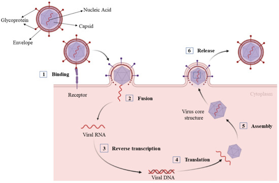 新到着 Antiviral Polymers: A Review ポケモンカードゲーム