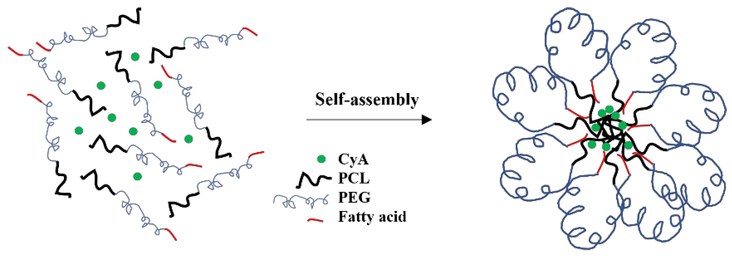Polymers 14 01635 g007