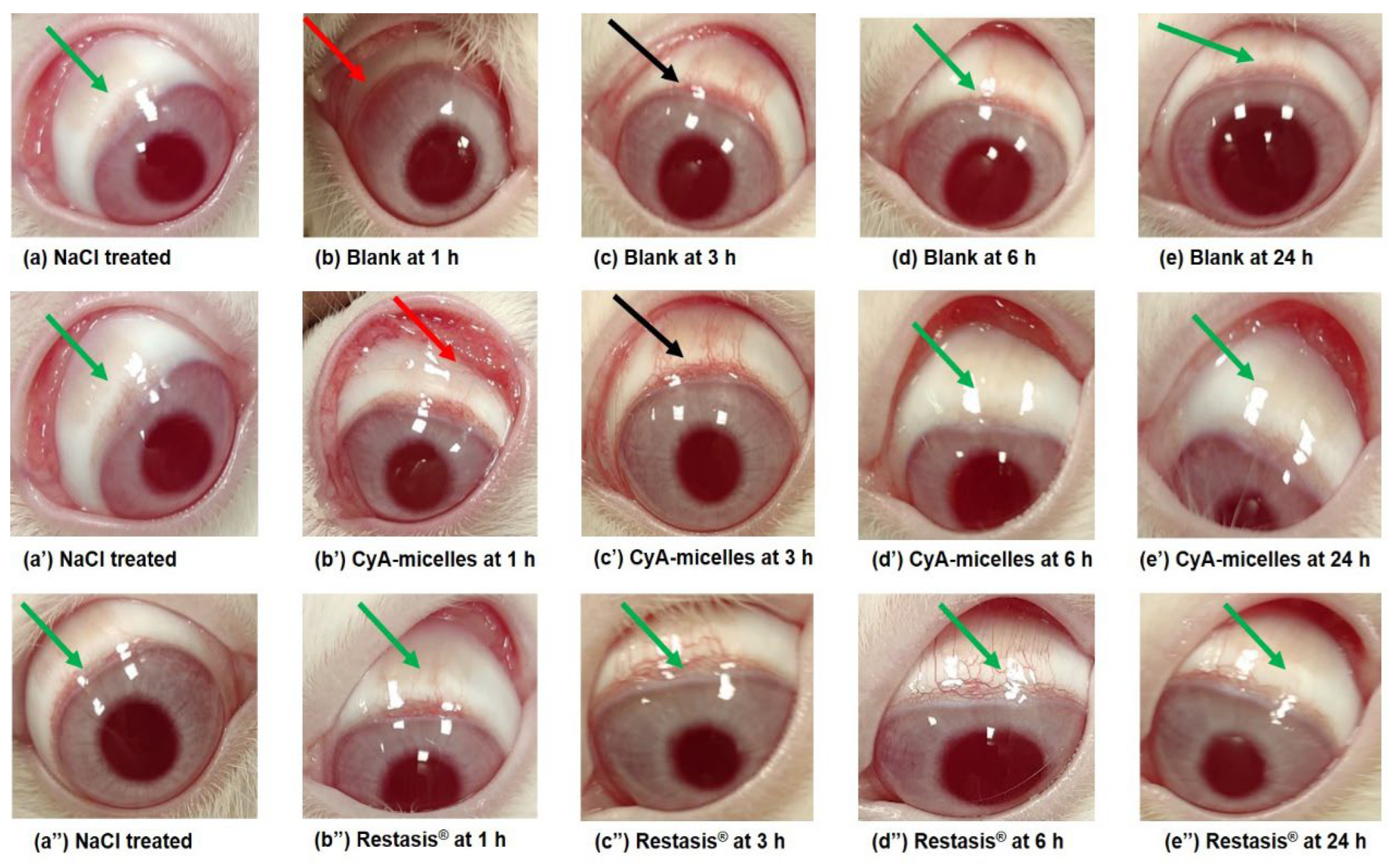 Polymers 14 01635 g010