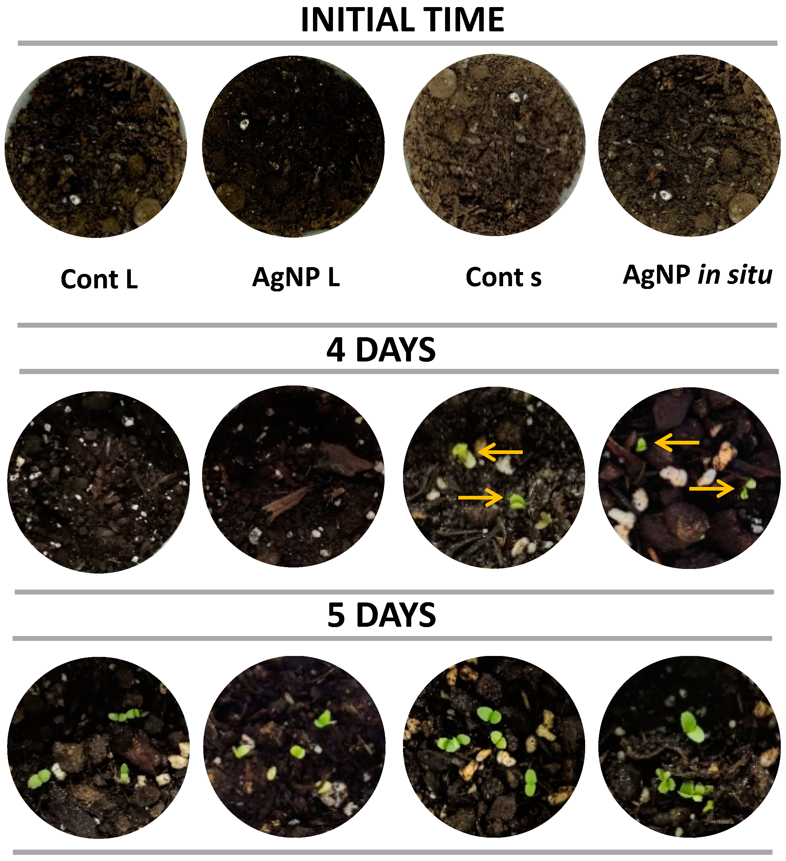 Polymers 14 01636 g007 550