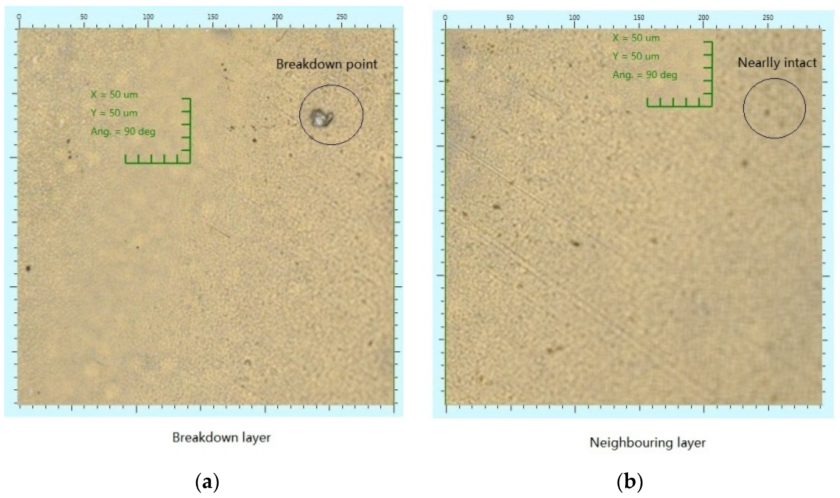 Polymers 14 01653 g008