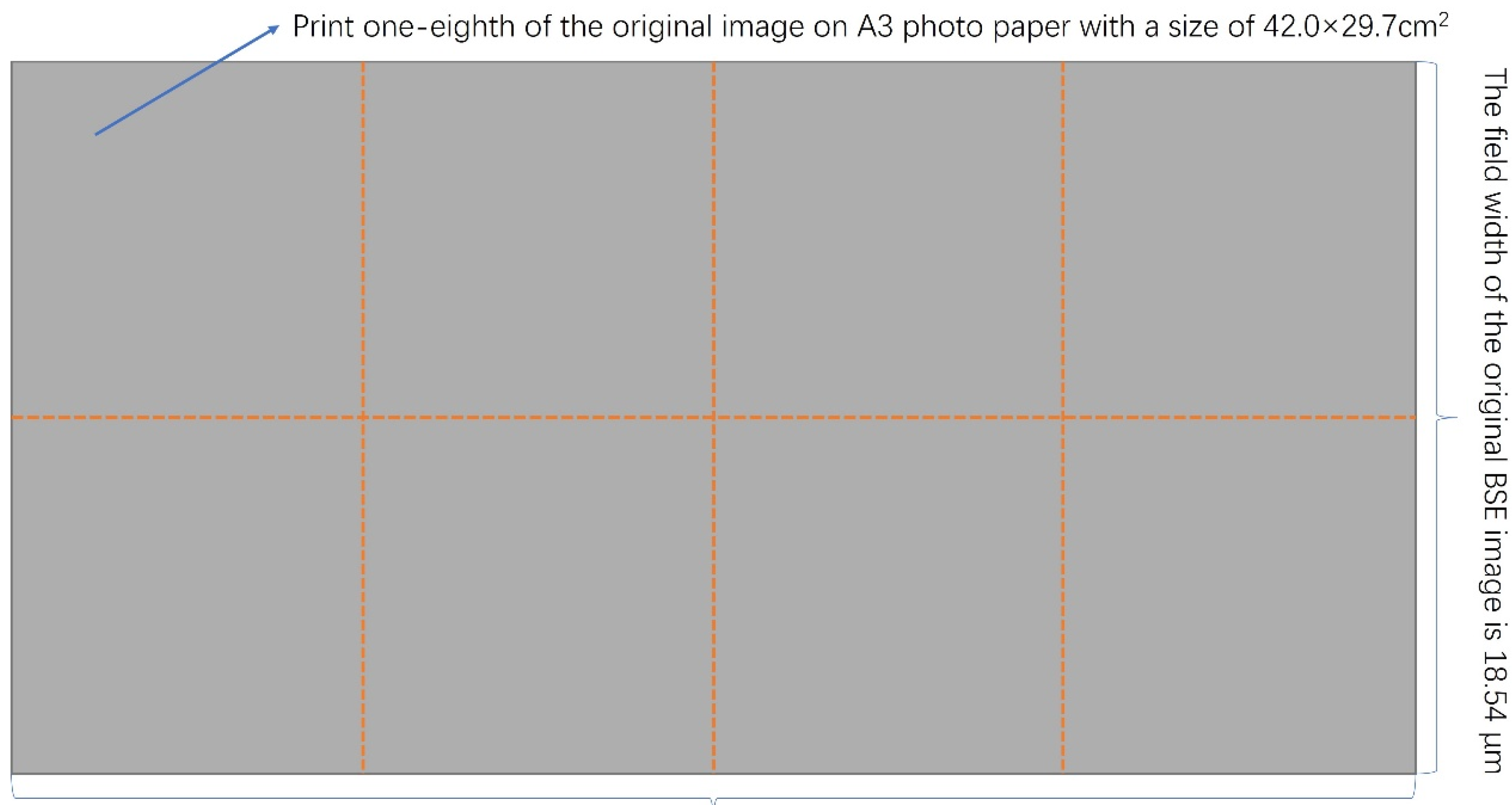 Polymers 14 01654 g001 550