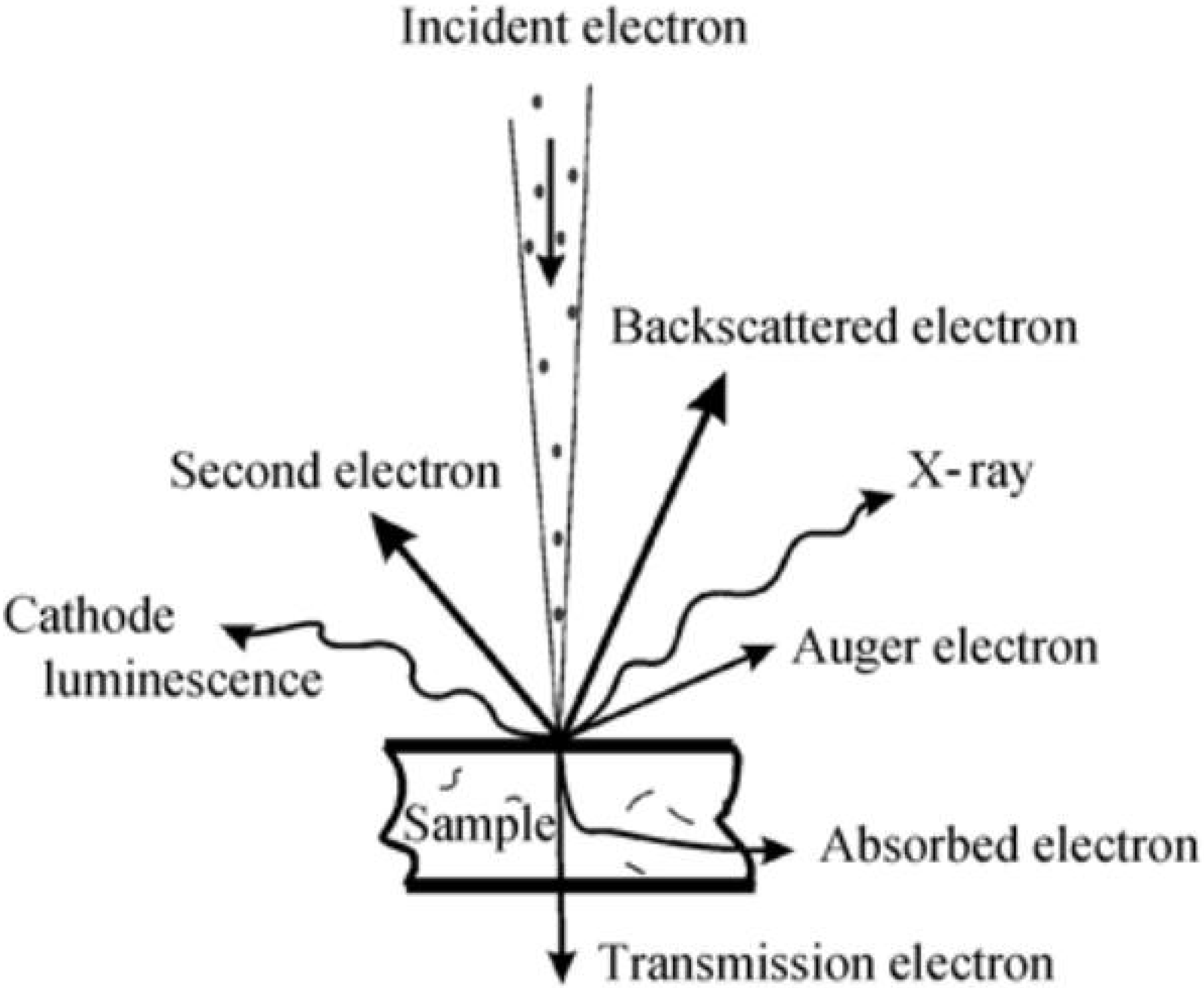Polymers 14 01654 g003 550