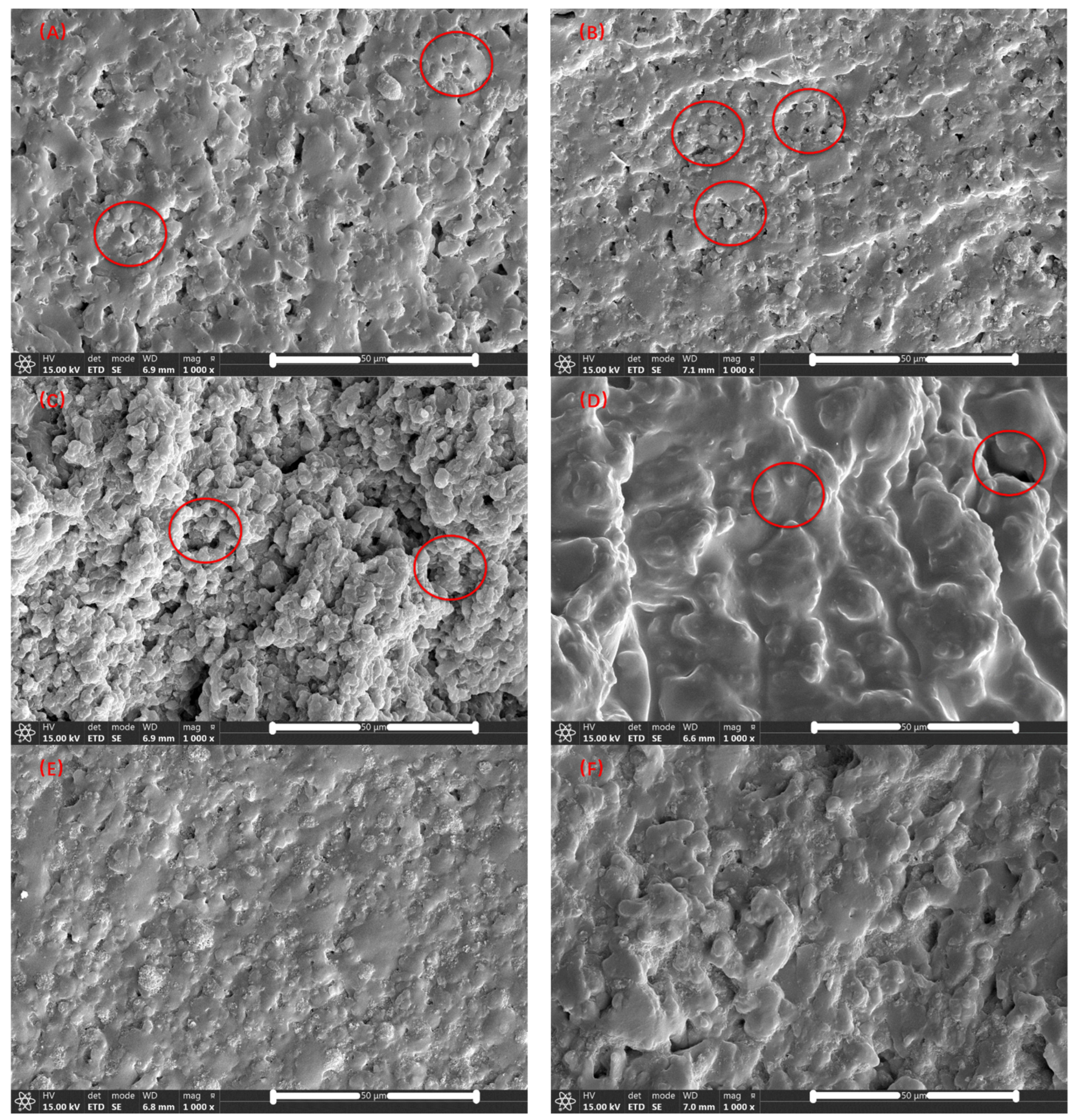 Polymers 14 01654 g004a 550