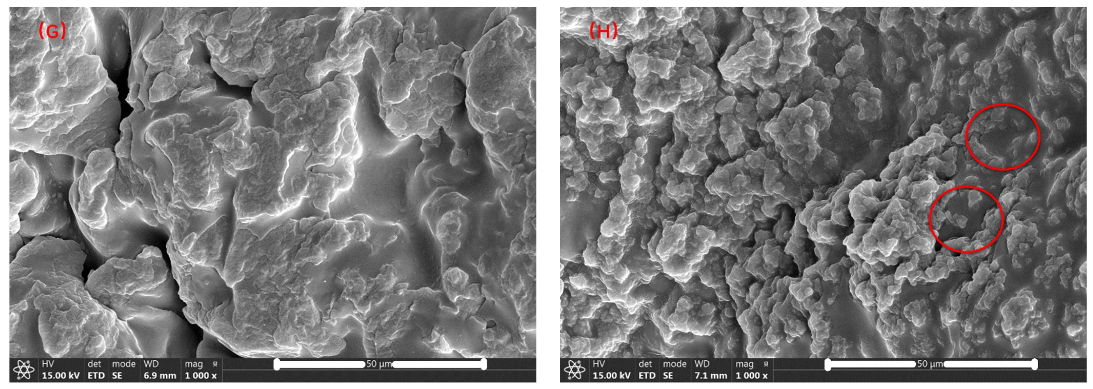 Polymers 14 01654 g004b 550