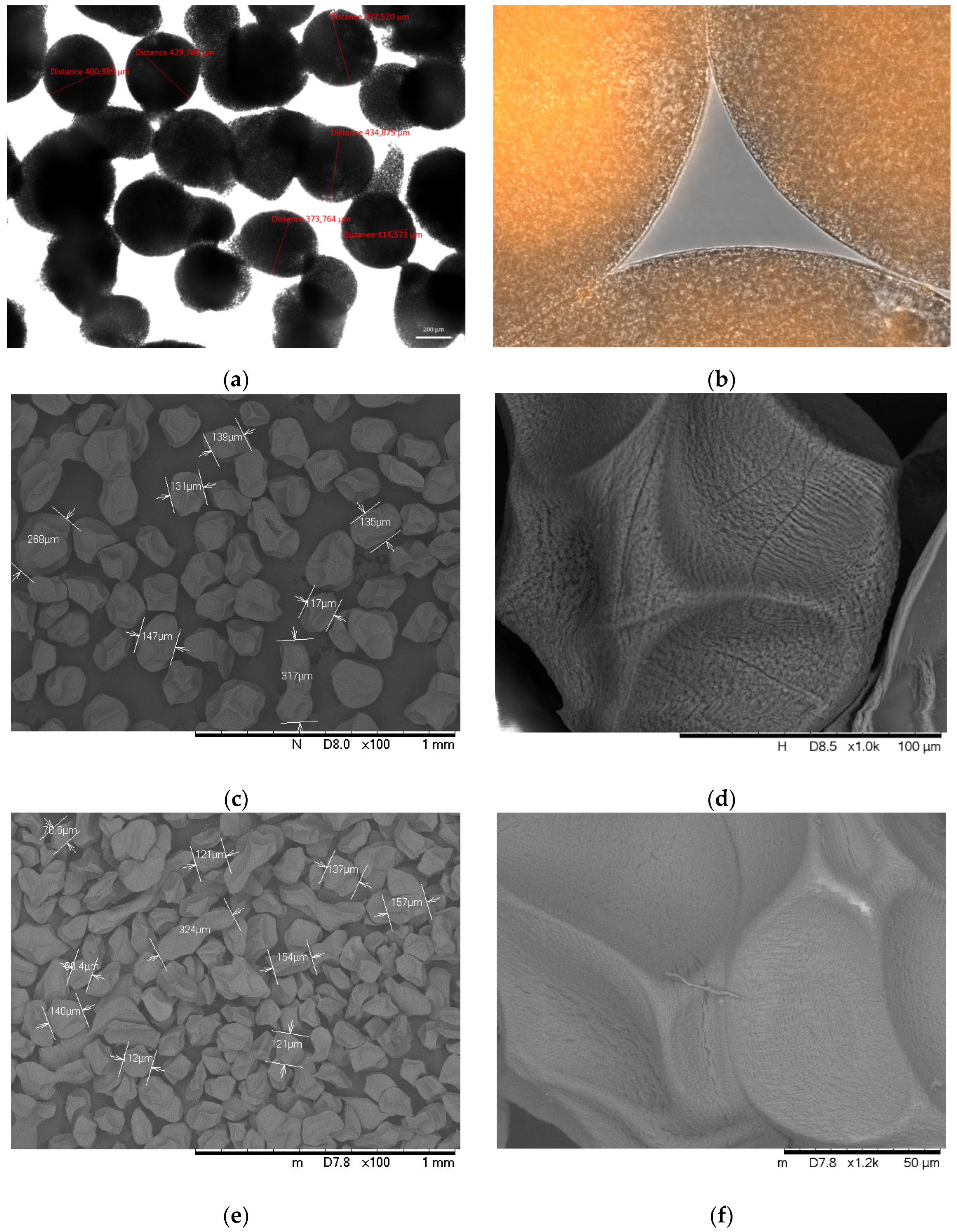 Polymers 14 01664 g003a 550