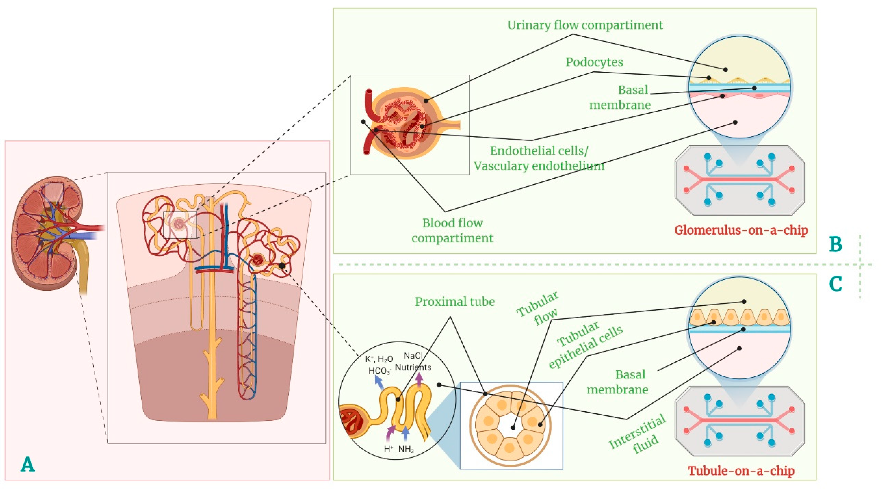 Polymers 14 01668 g002