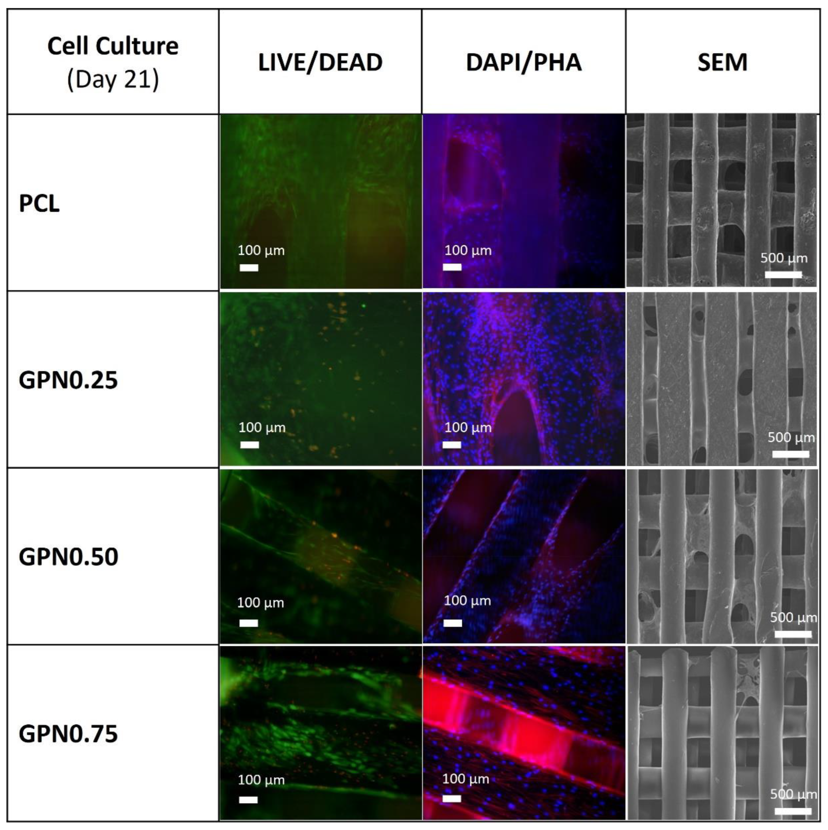Polymers 14 01669 g008