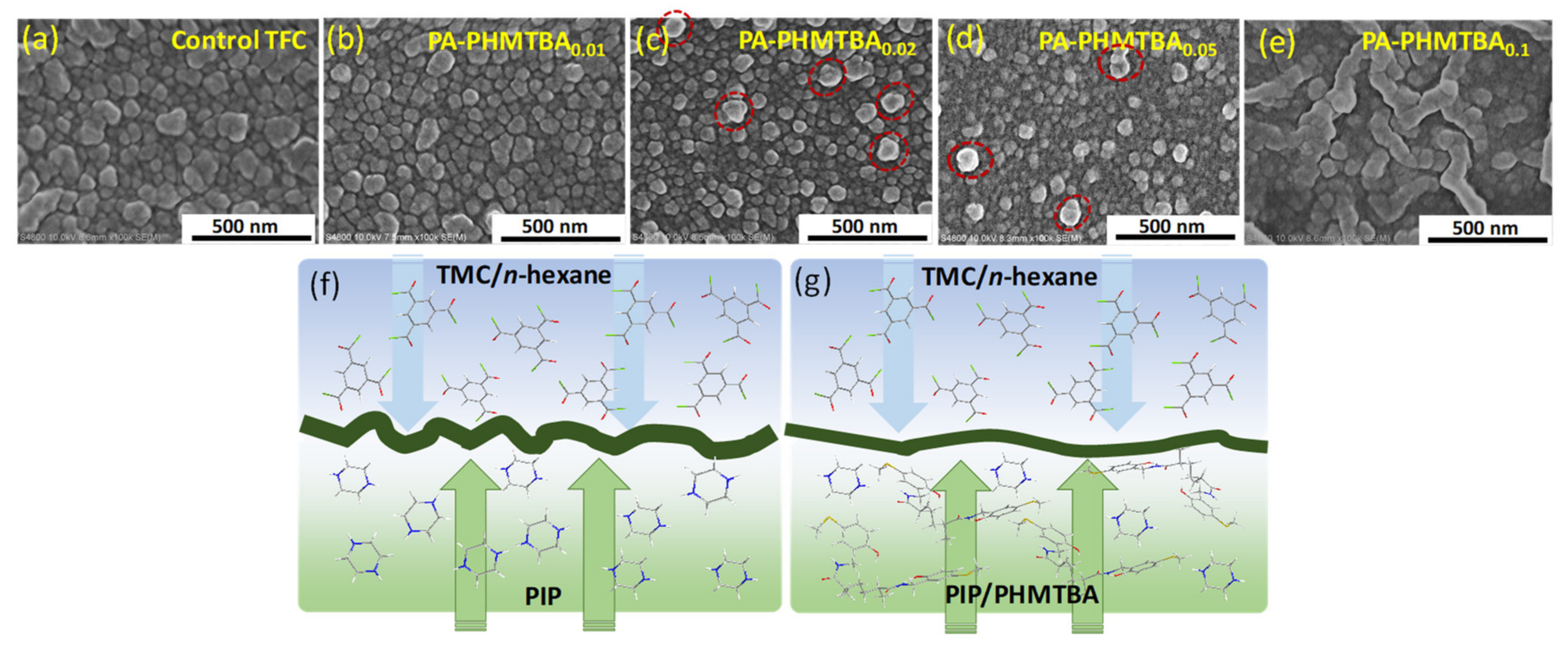 Polymers 14 01671 g005