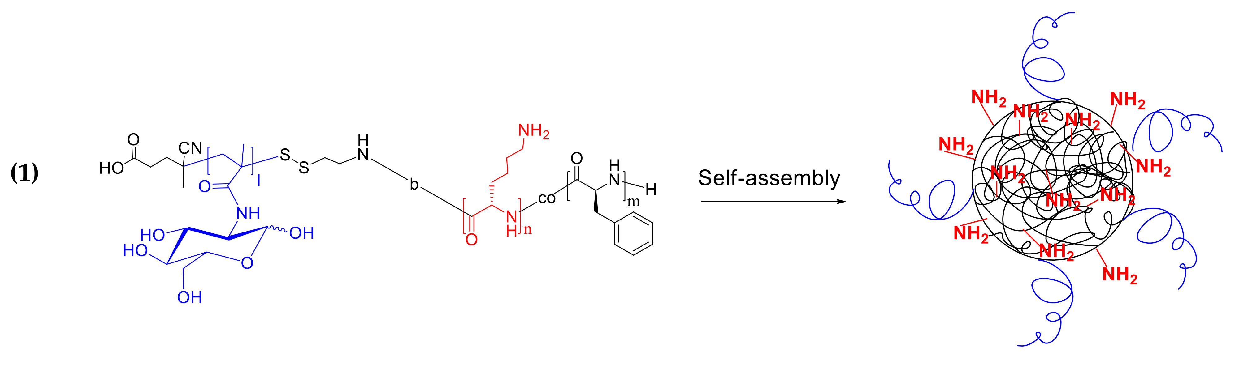 Polymers 14 01677 g004a 550