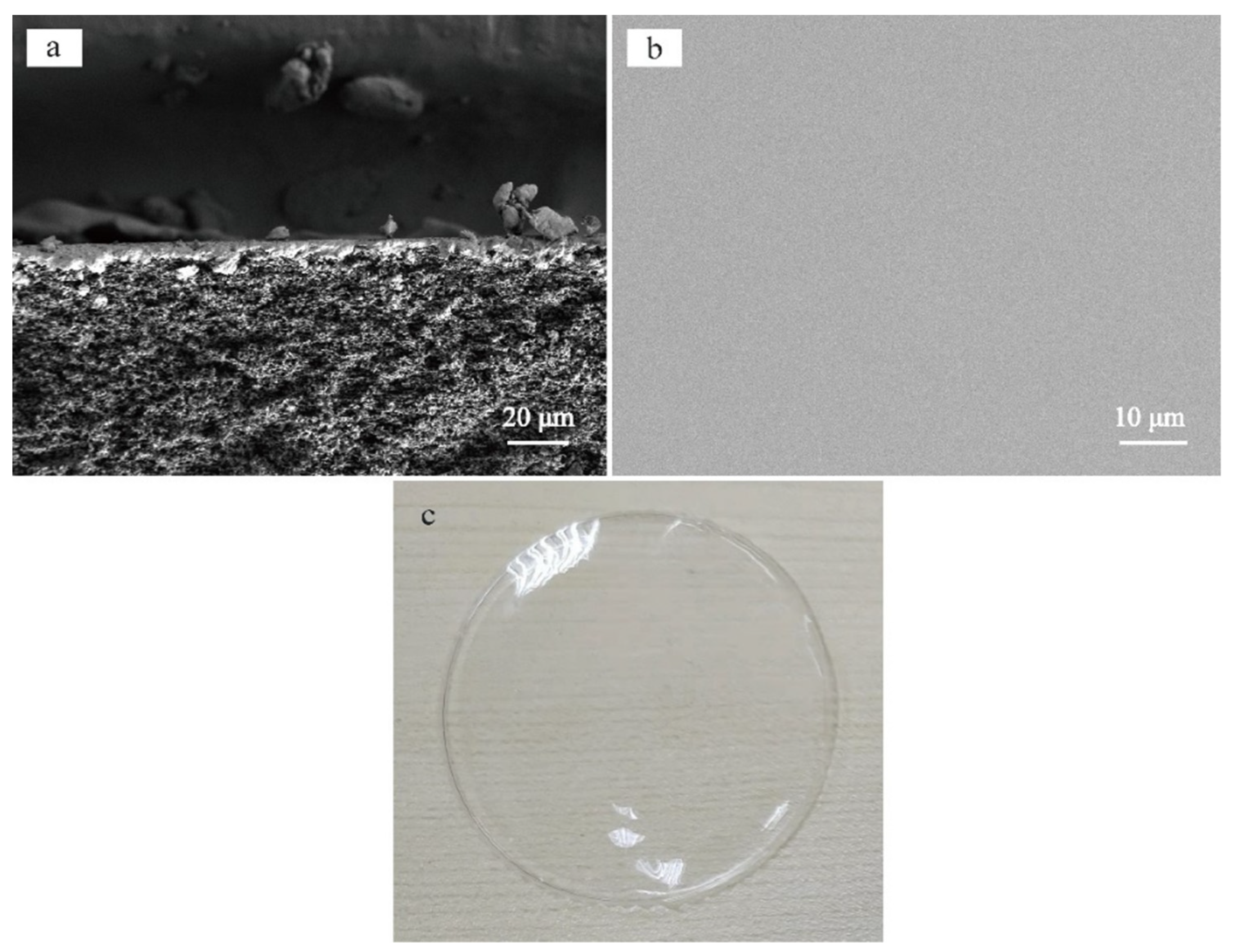 Polymers 14 01680 g003