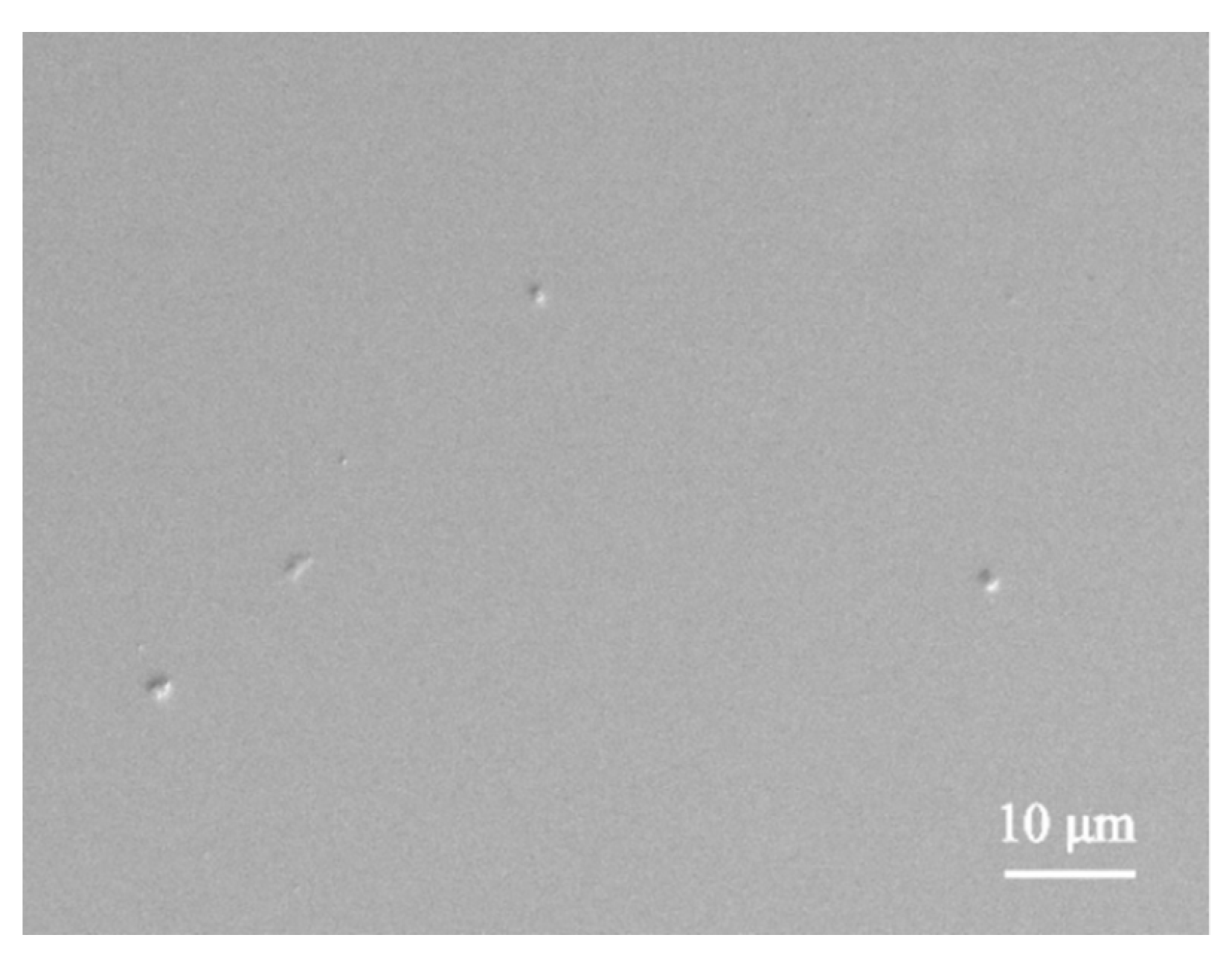 Polymers 14 01680 g005