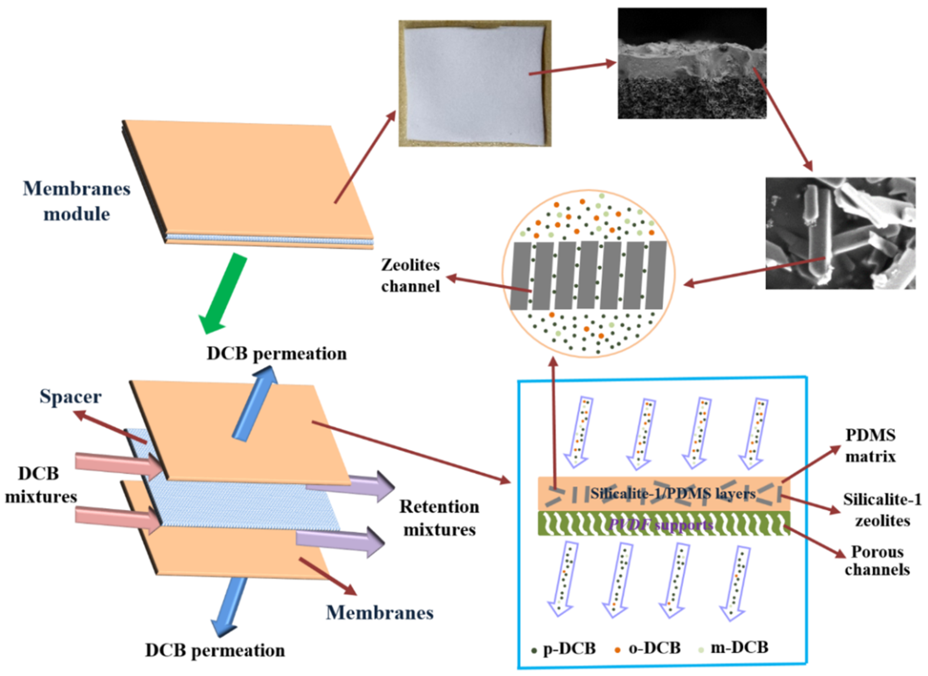 Polymers 14 01680 g009