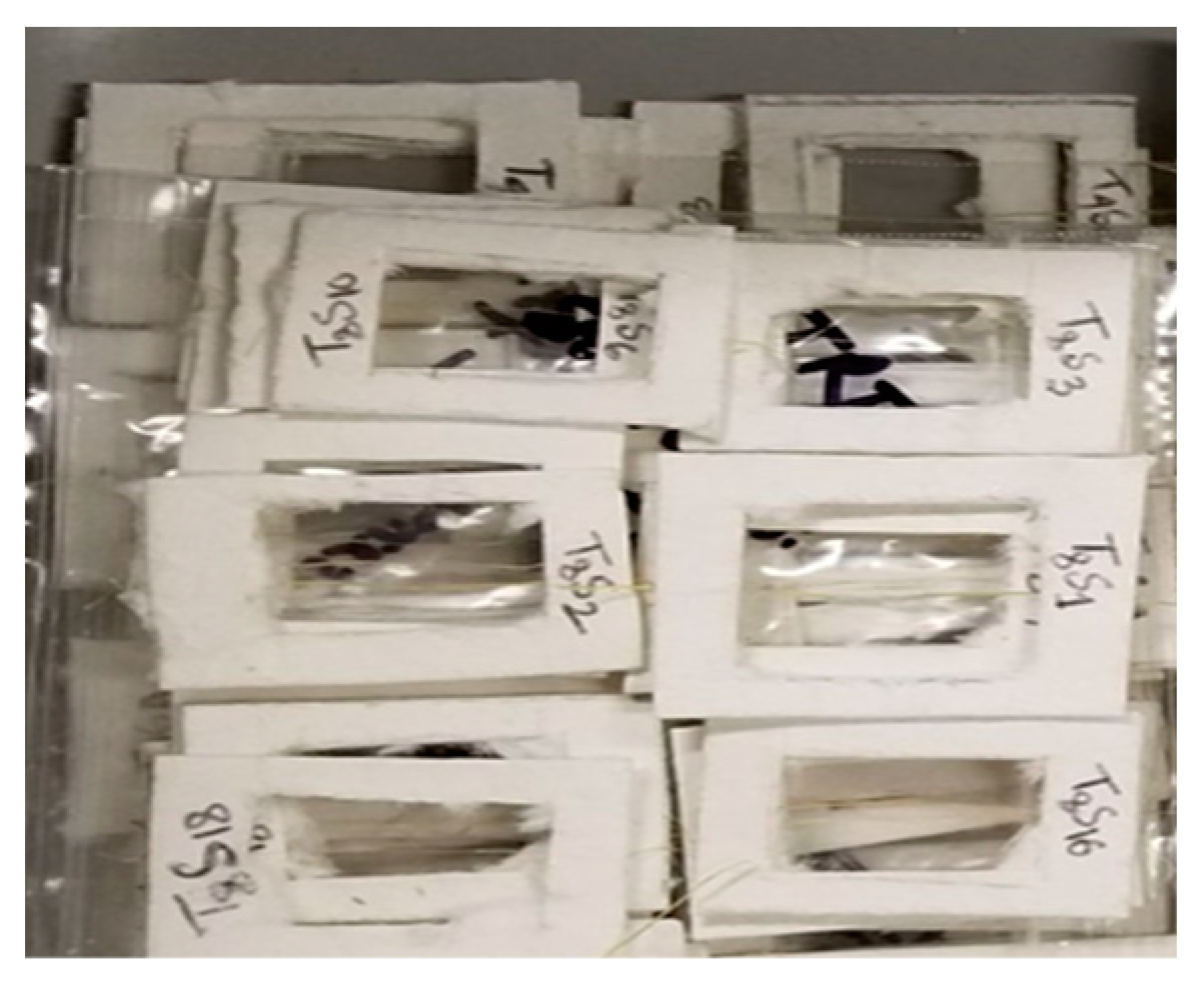 Polymers 14 01685 g001 550