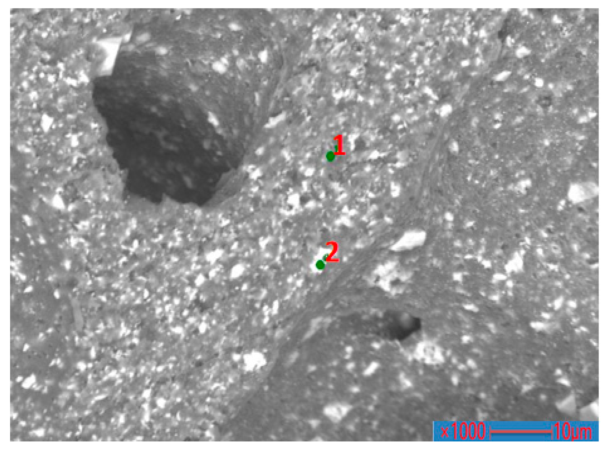 Polymers 14 01689 g009