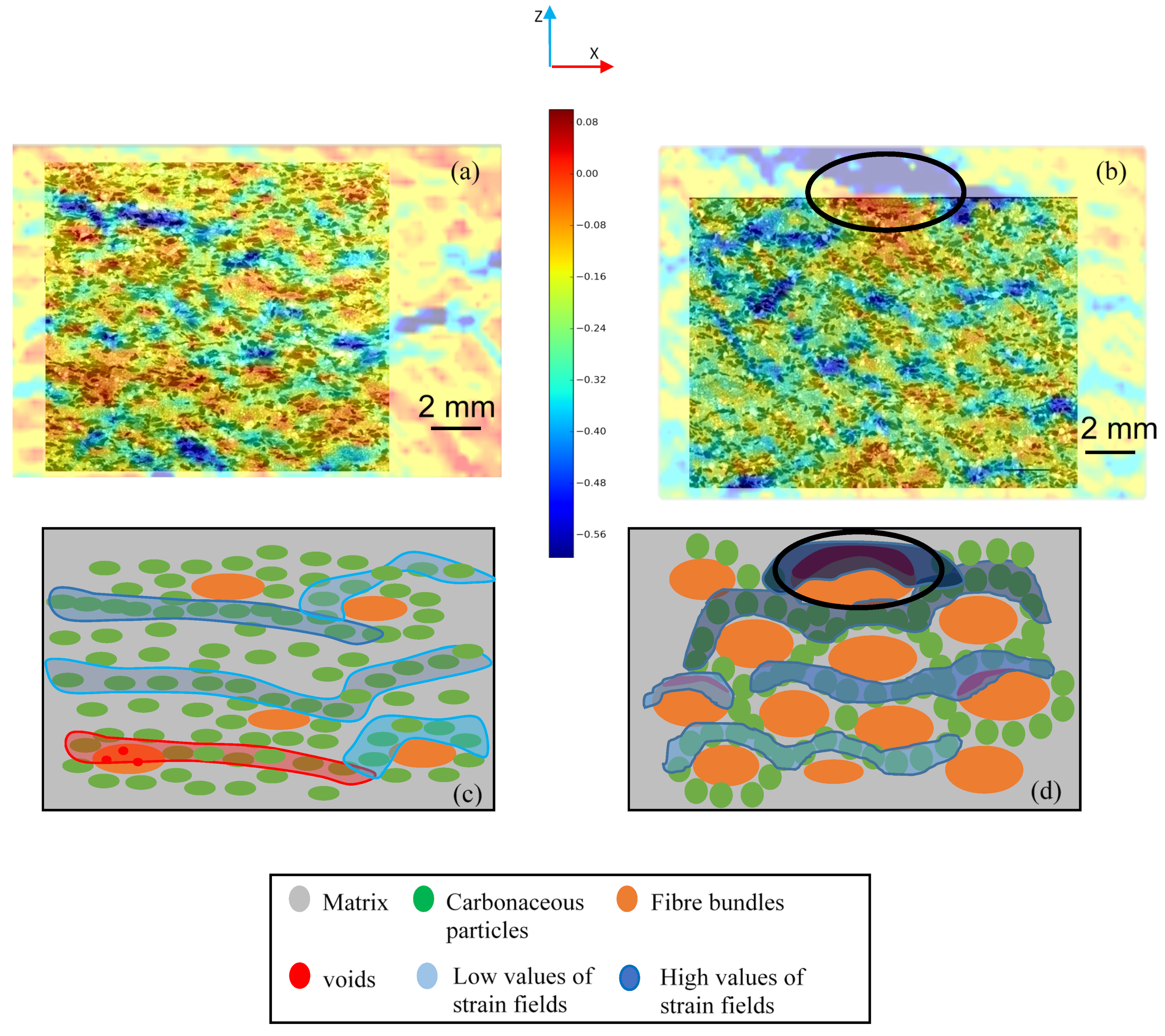 Polymers 14 01692 g010