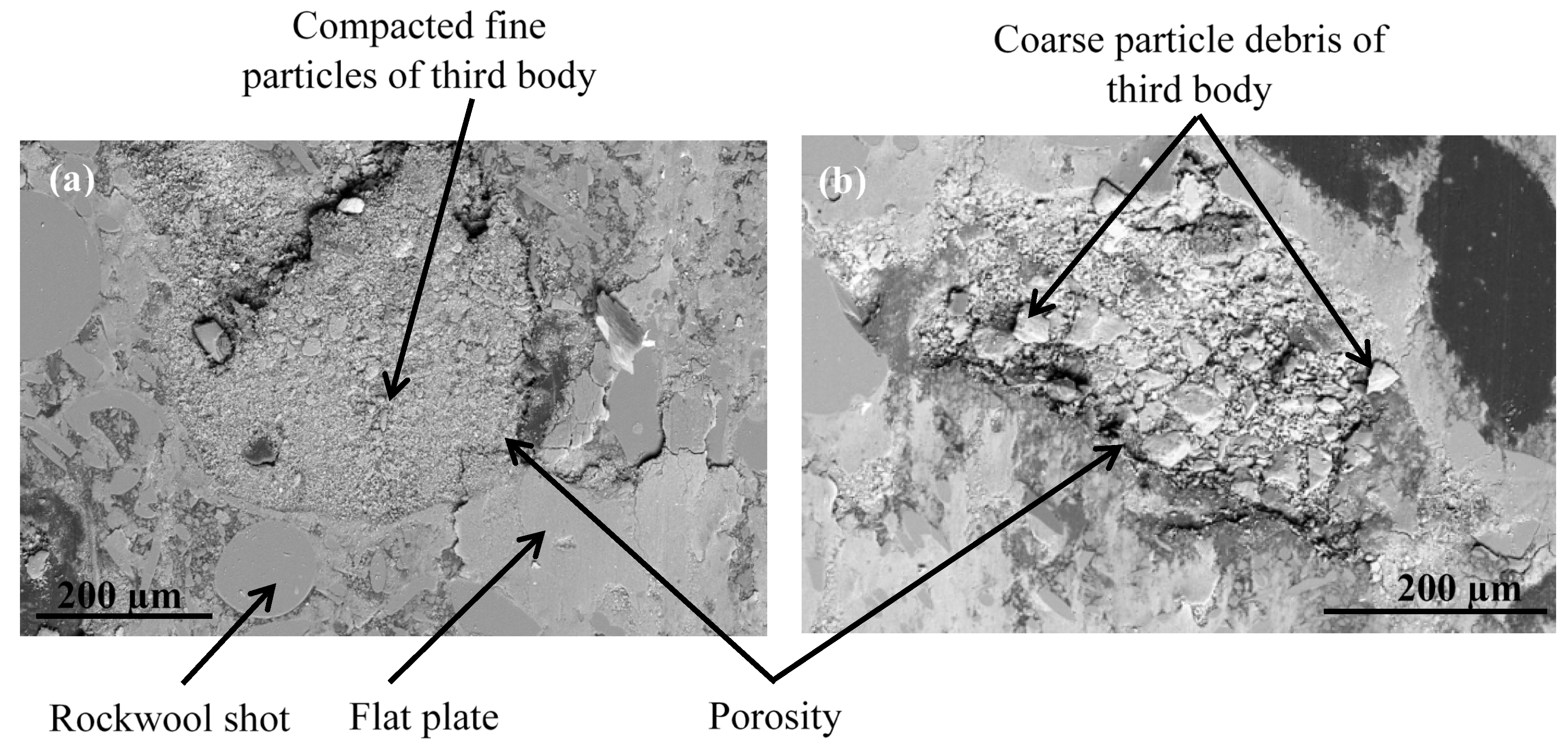 Polymers 14 01692 g018