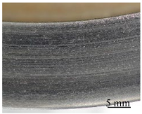 Polymers 14 01692 i001