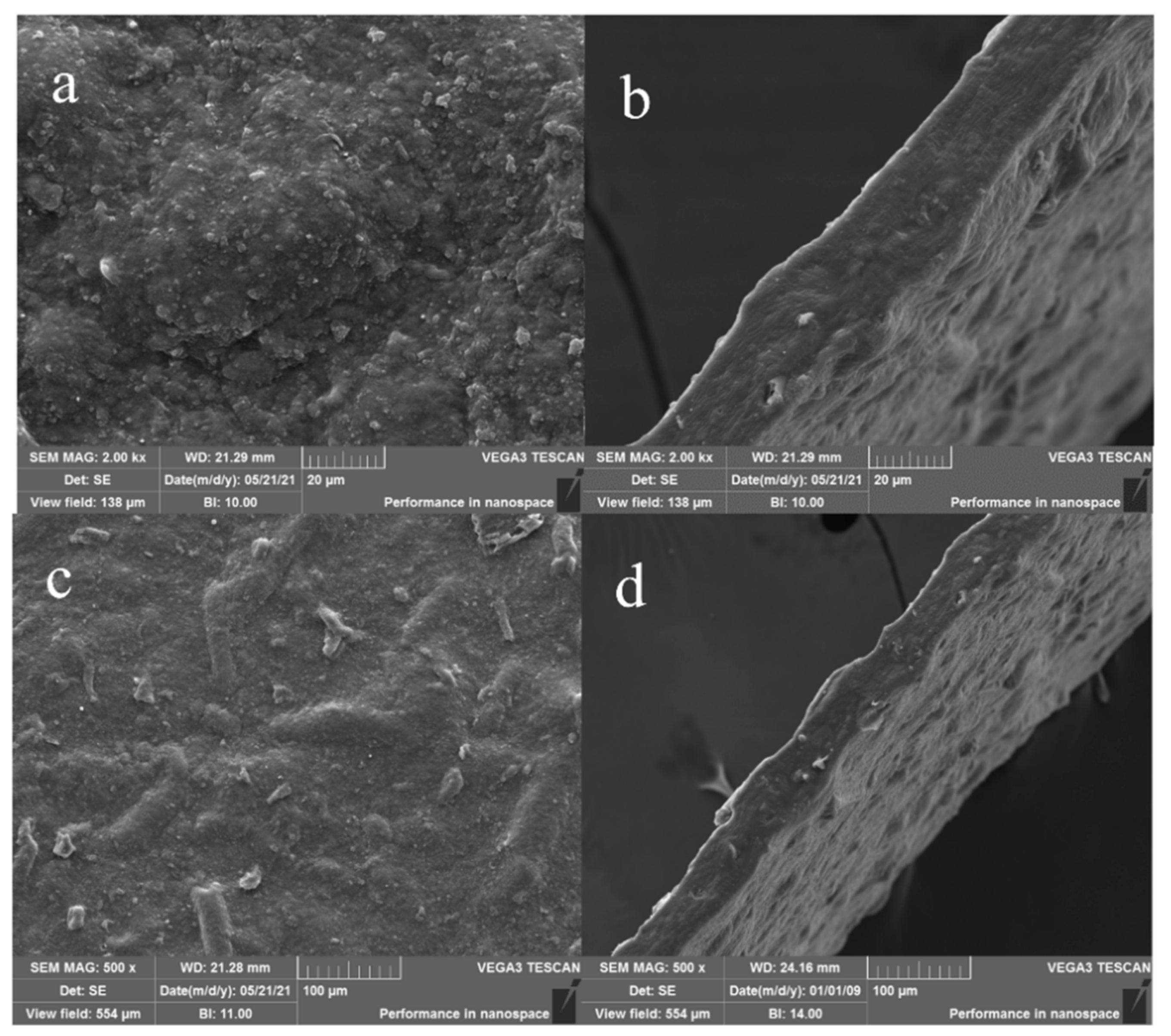 Polymers 14 01693 g004