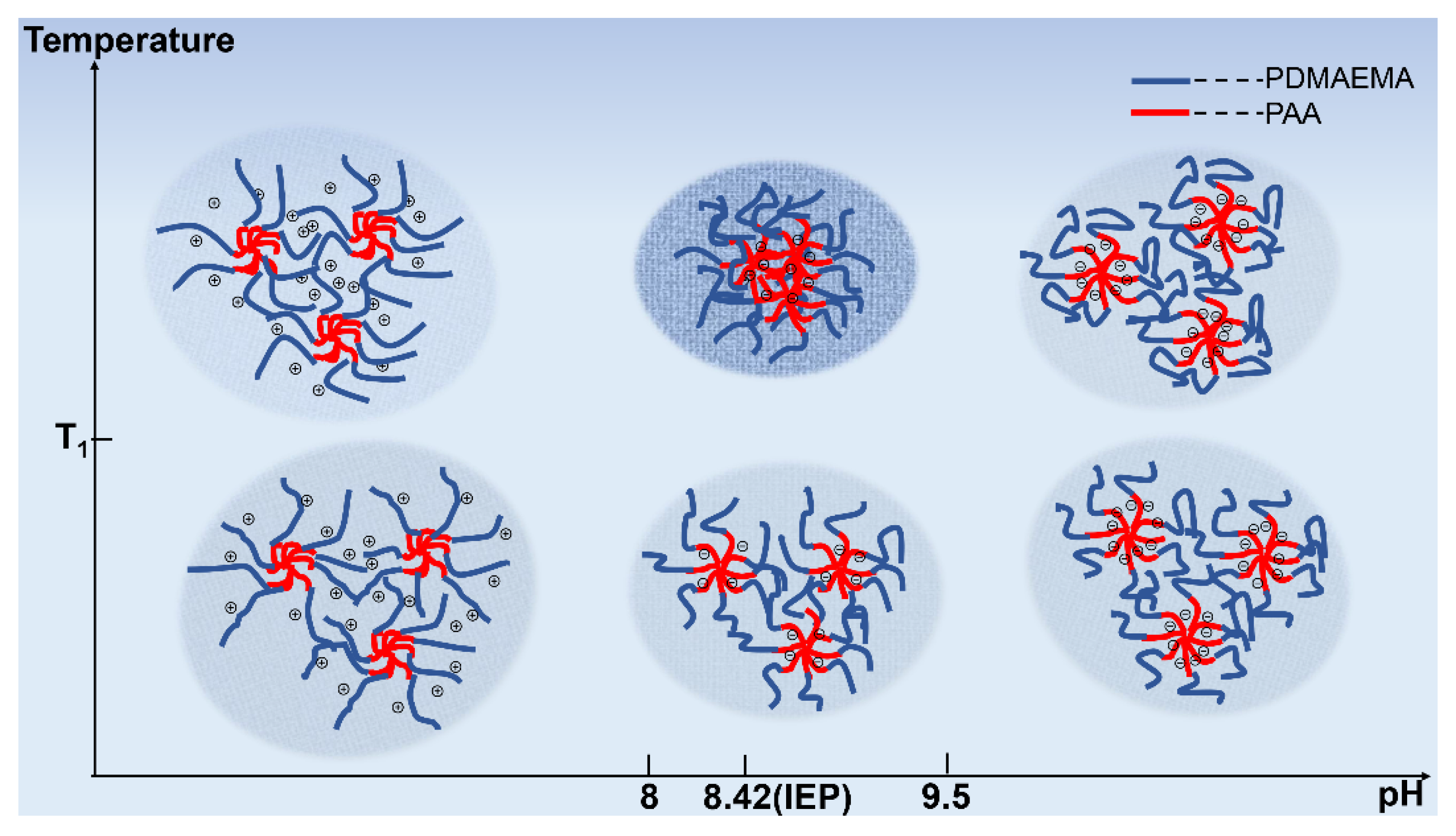 Polymers 14 01695 g005 550