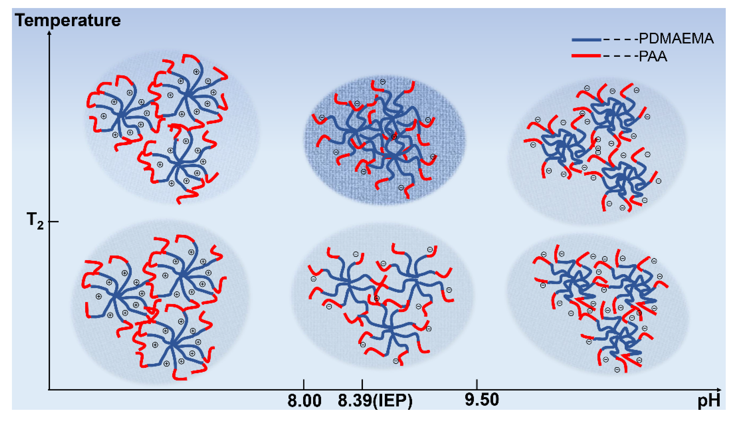 Polymers 14 01695 g006 550