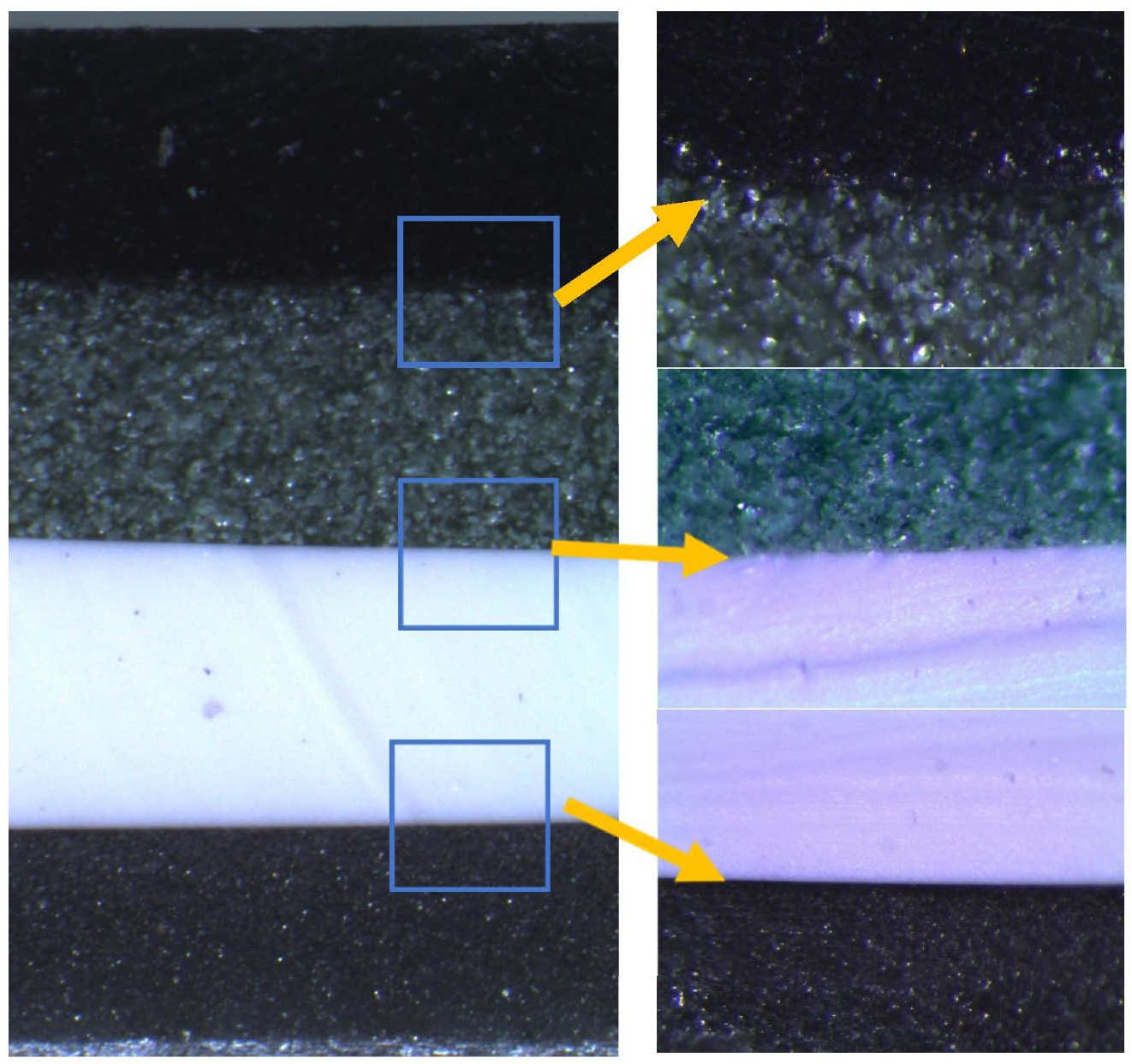 Polymers 14 01696 g001 550