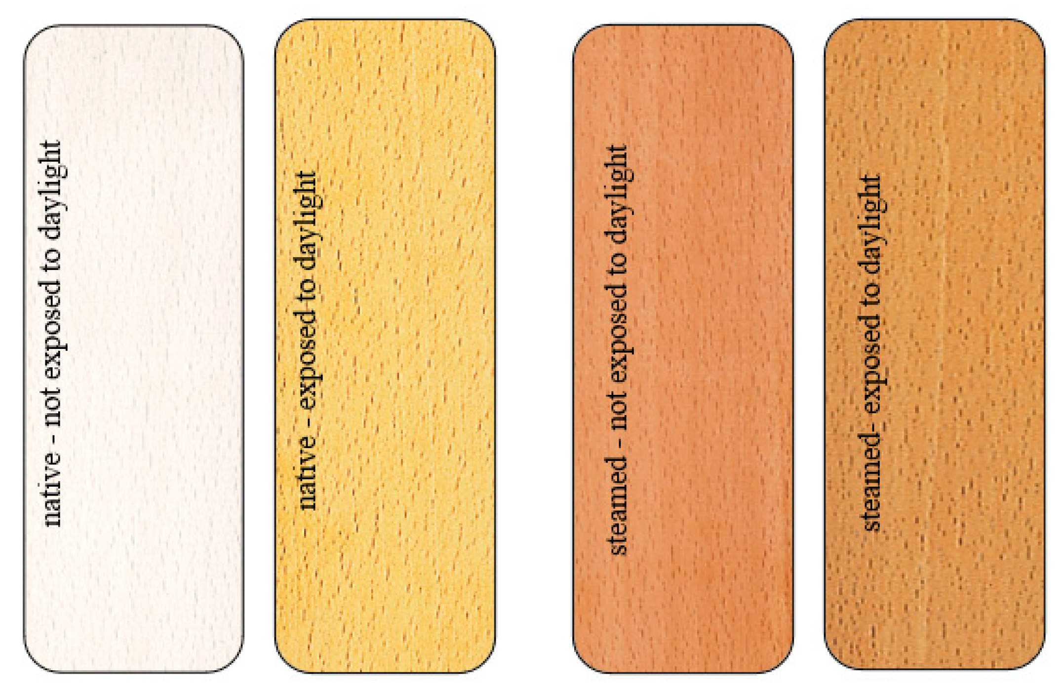 Polymers 14 01697 g002