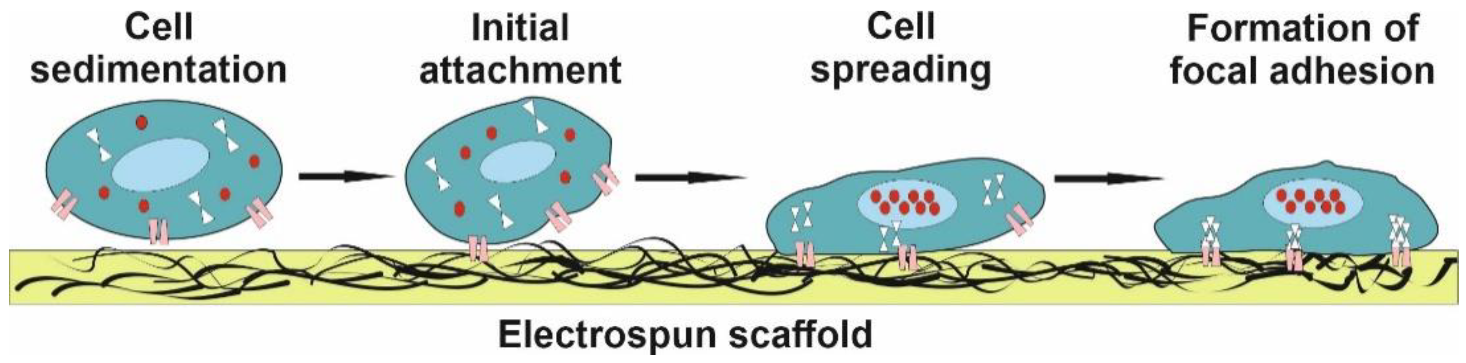 Polymers 14 01698 g001 Polymers 14 01698 g001
