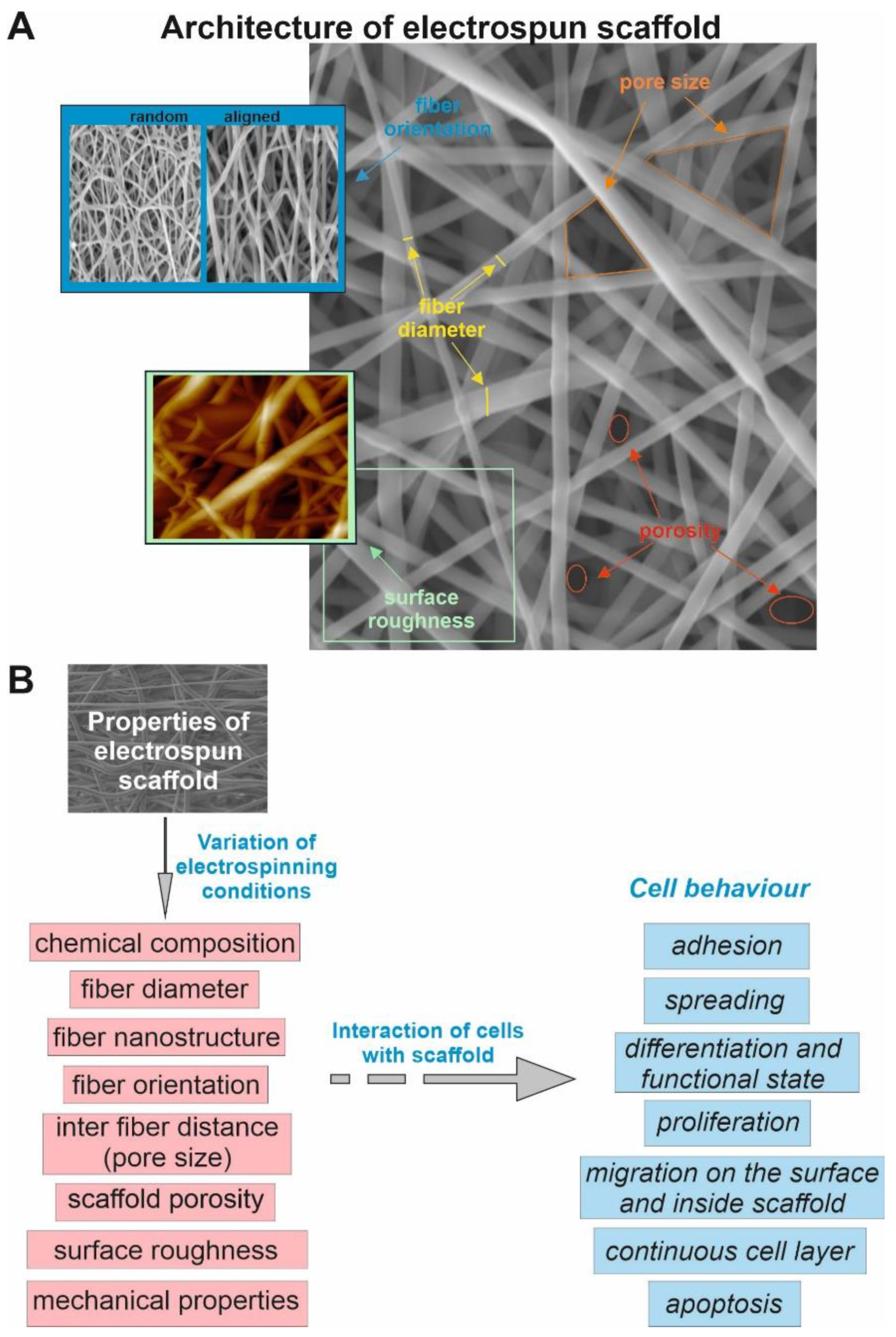 Polymers 14 01698 g002 Polymers 14 01698 g002