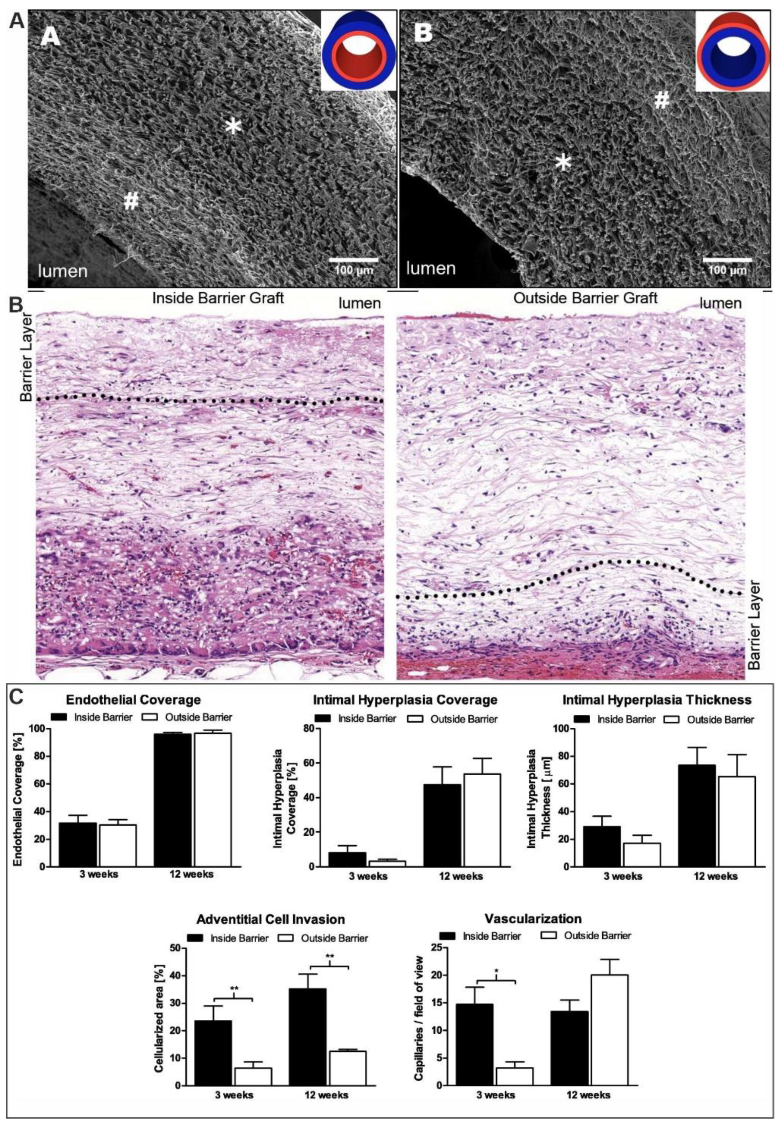 Polymers 14 01698 g003 Polymers 14 01698 g003