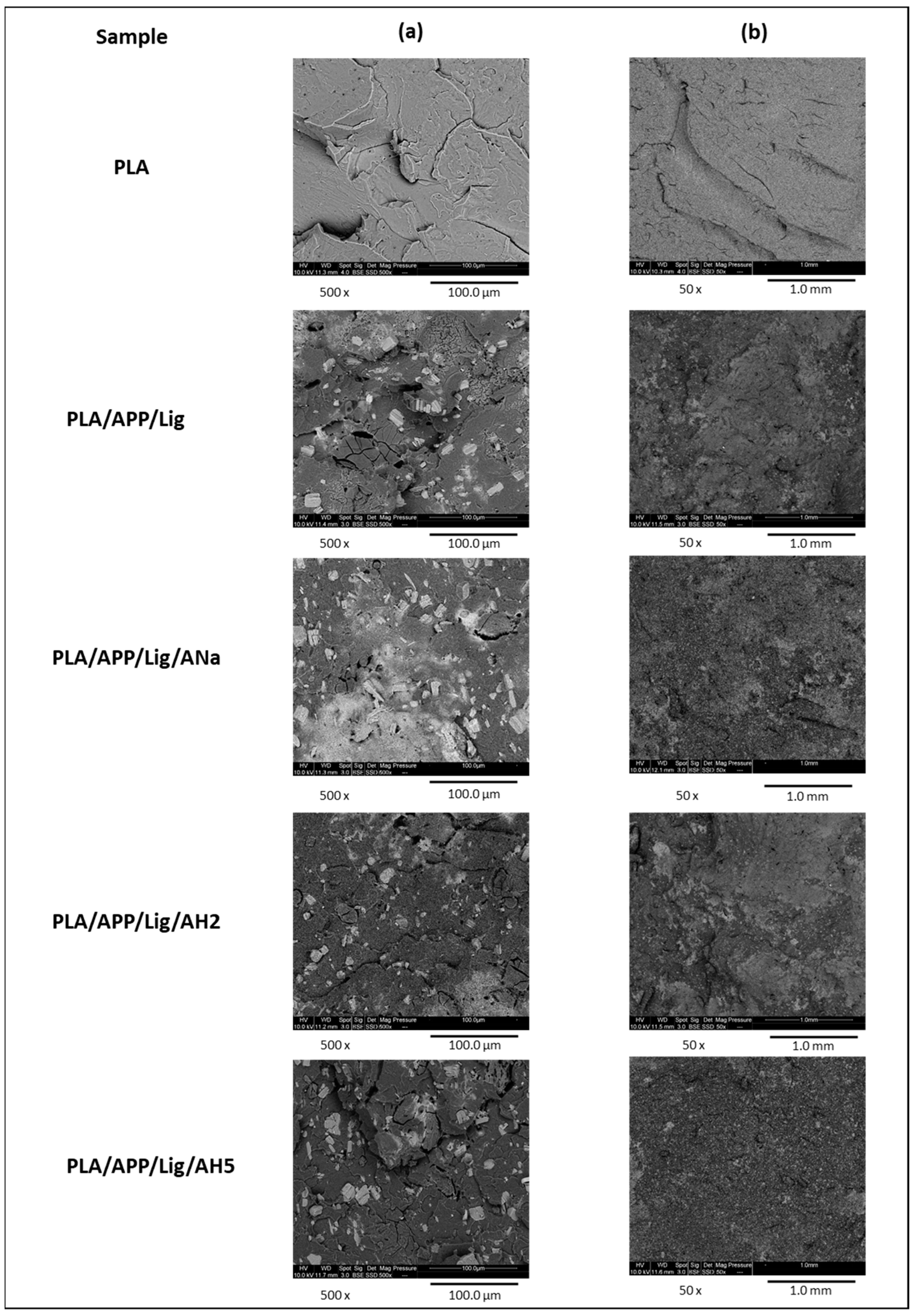 Polymers 14 01702 g008