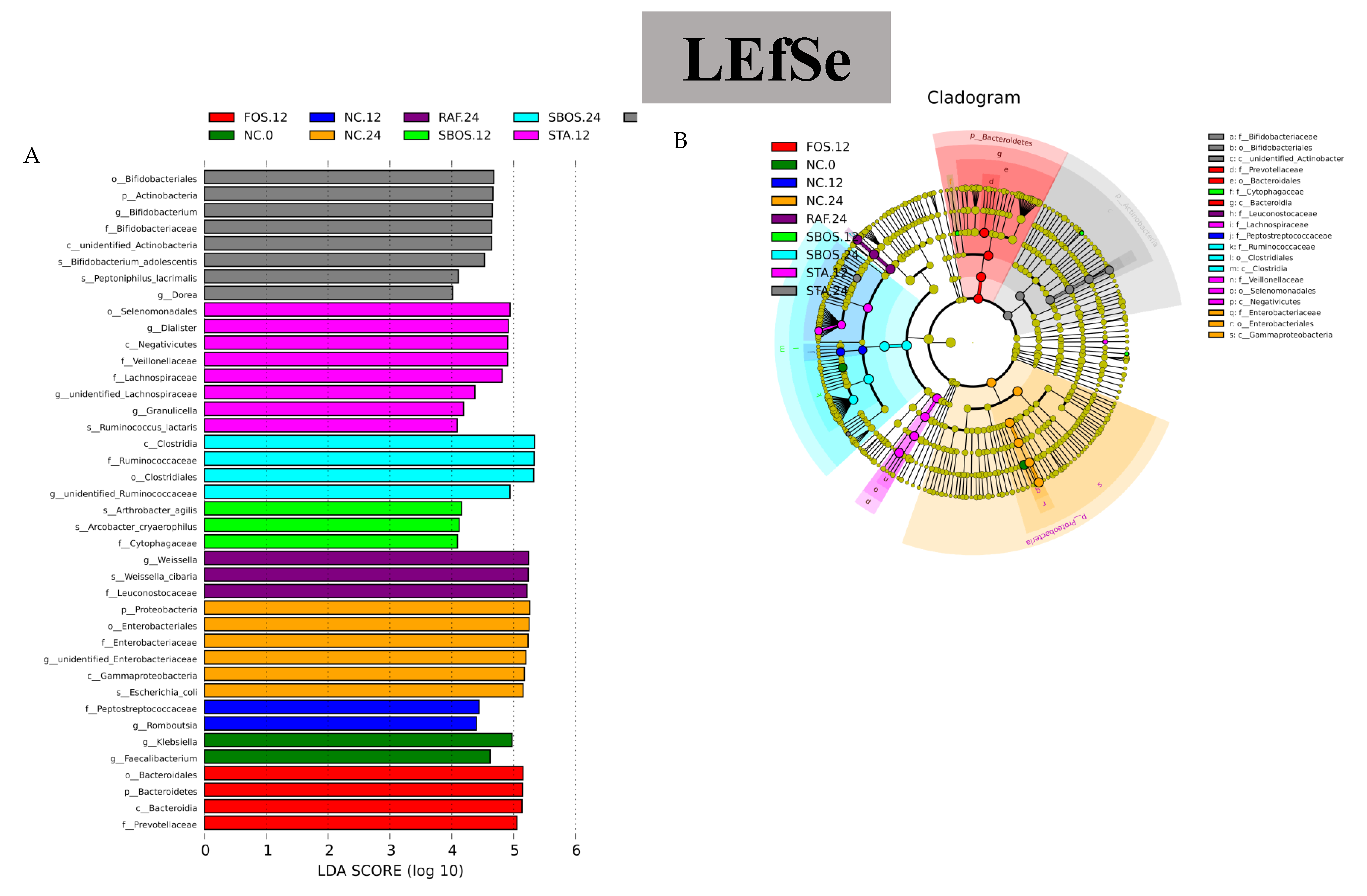 Polymers 14 01704 g008