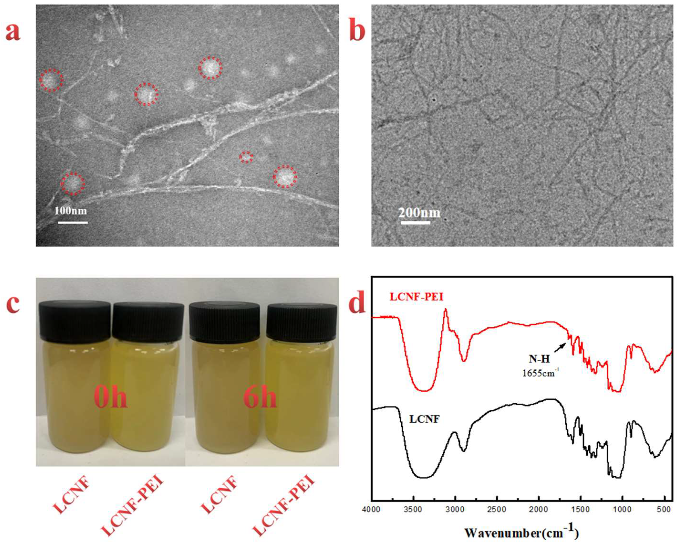 Polymers 14 01705 g003