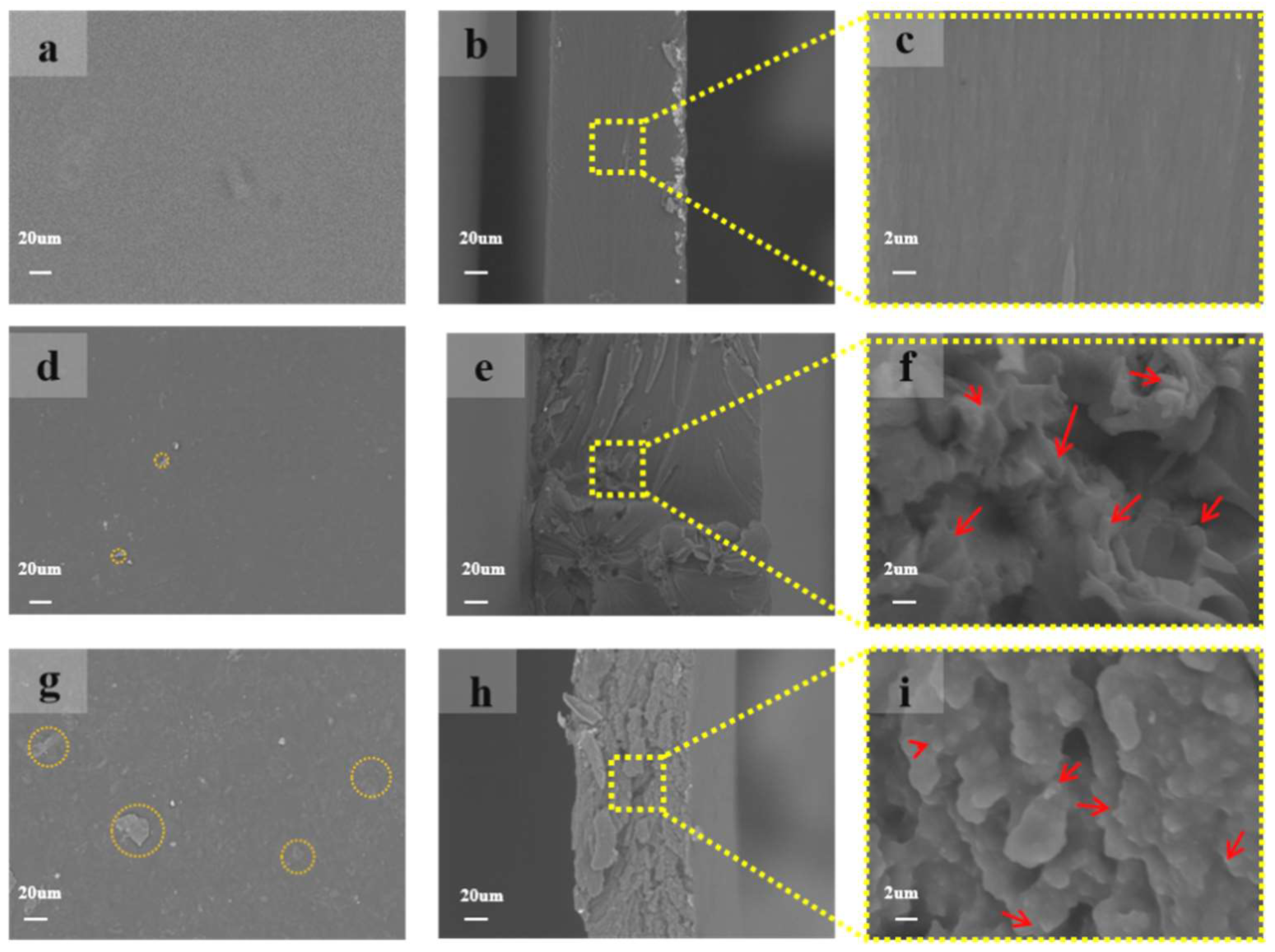 Polymers 14 01705 g004