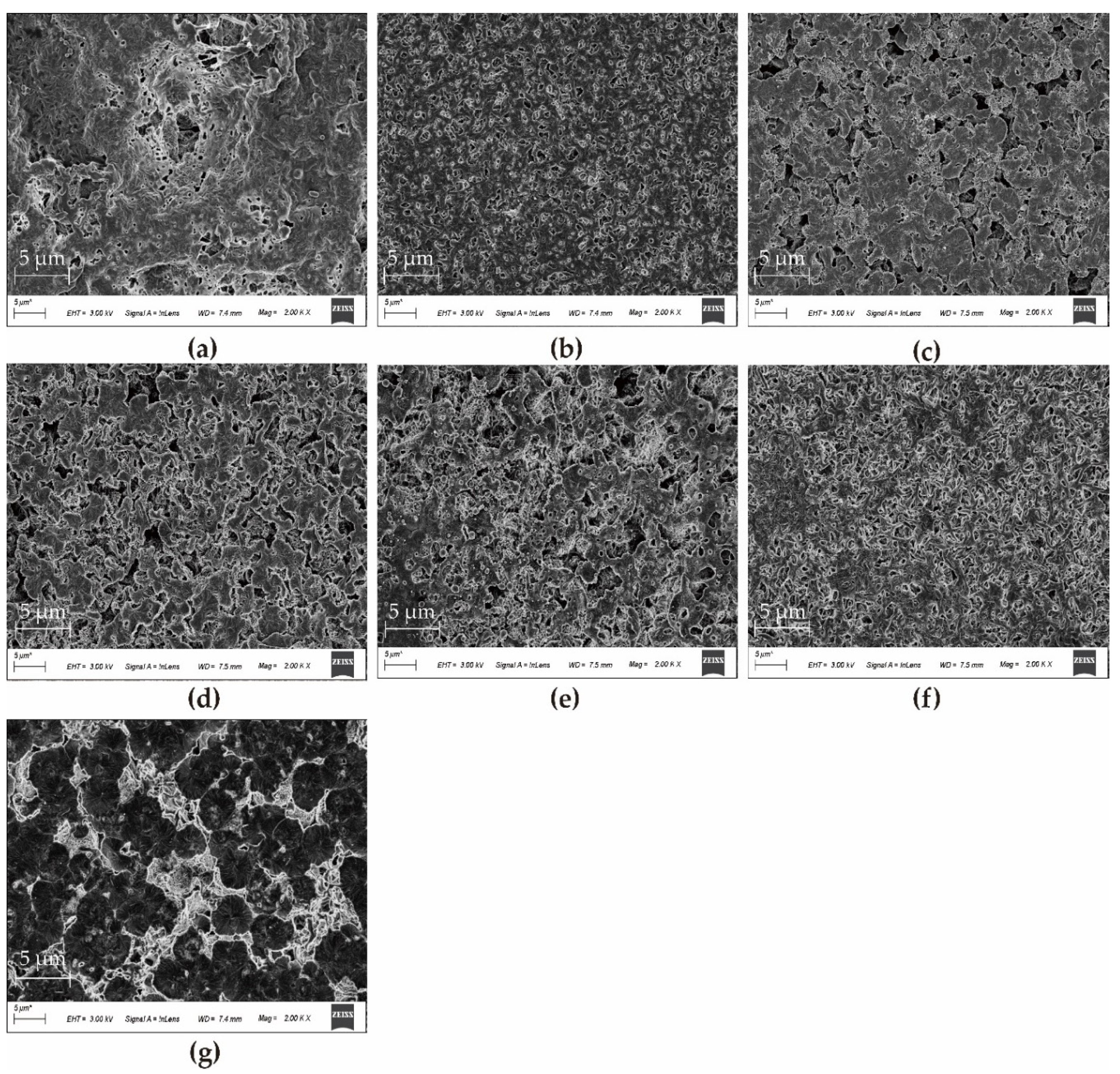 Polymers 14 01706 g008