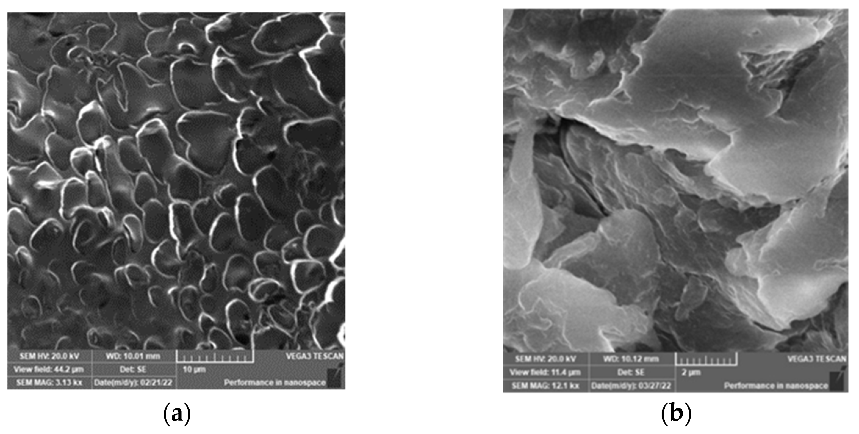 Polymers 14 01707 g003 550