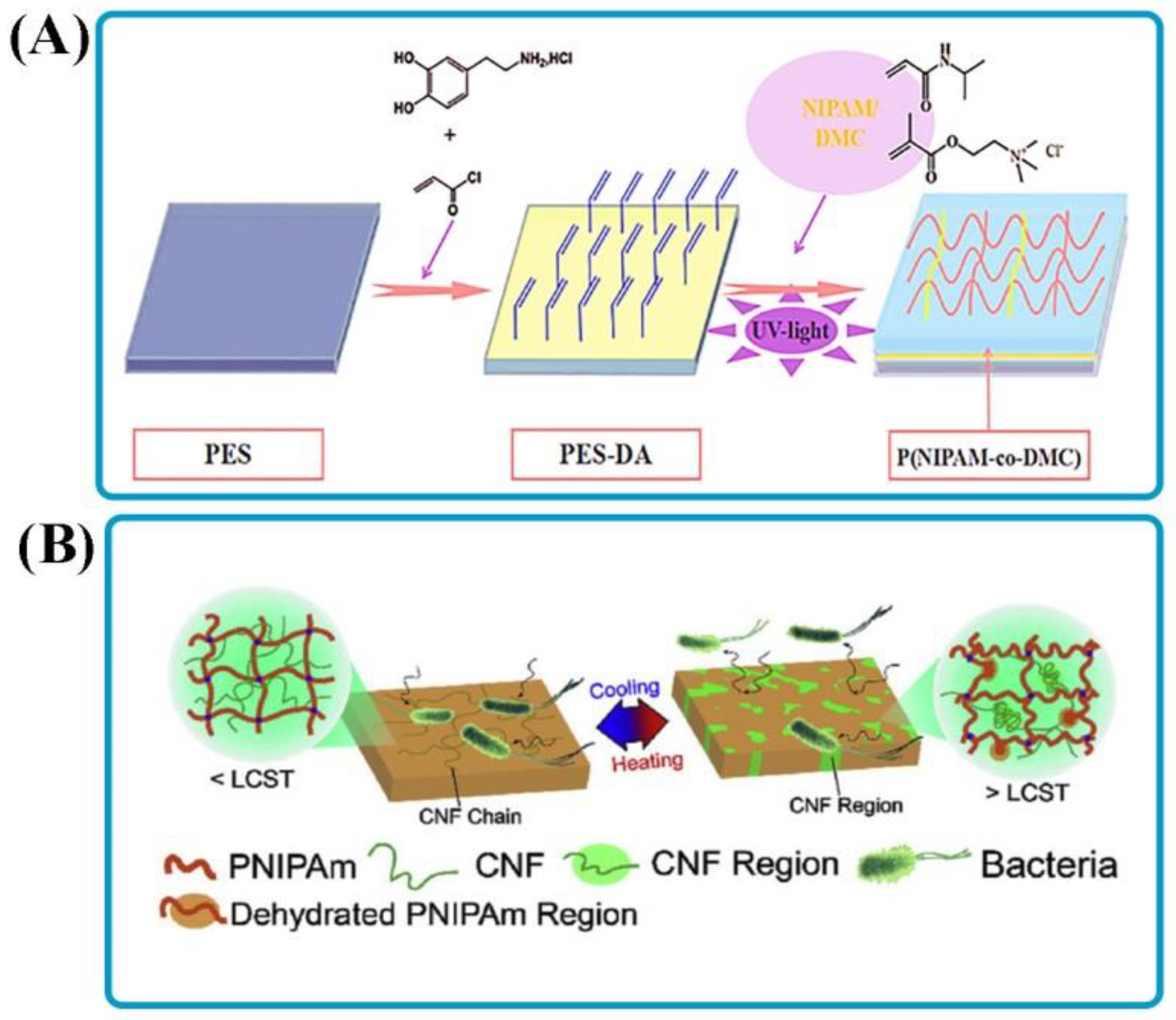 Polymers 14 01709 g005