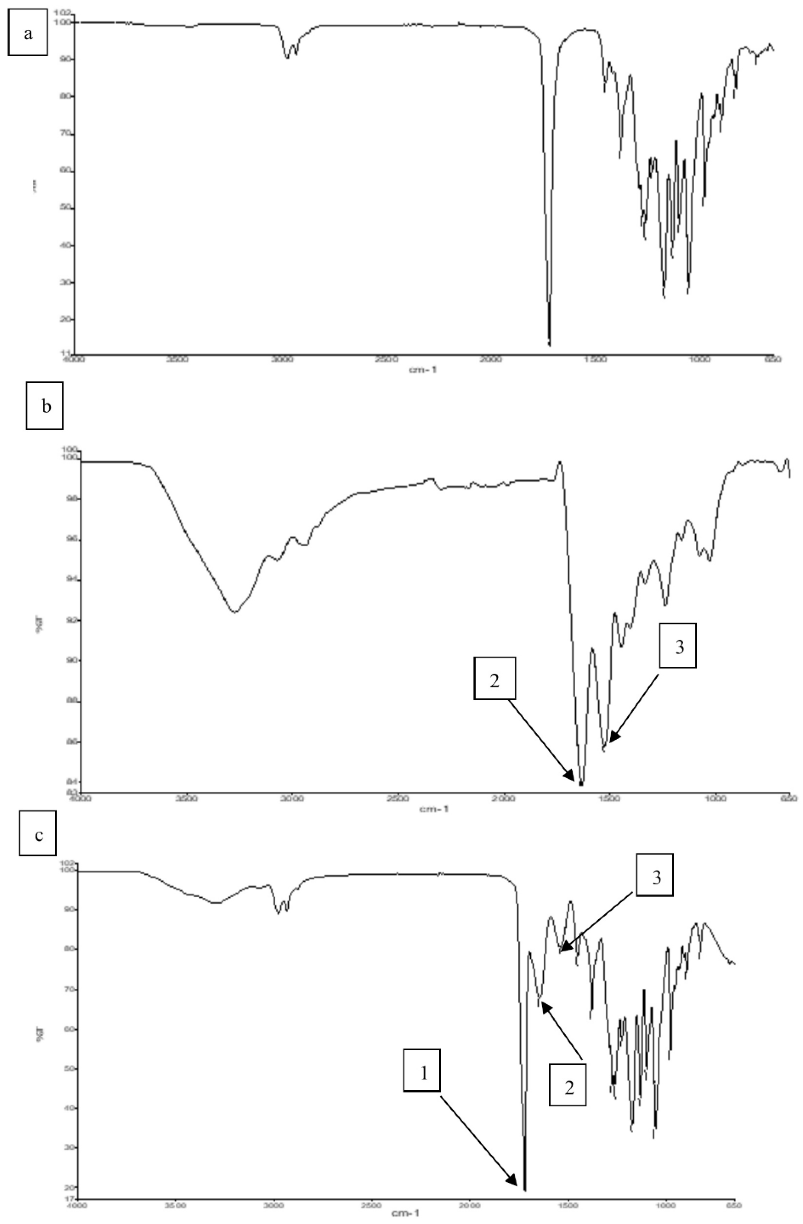 Polymers 14 01710 g003