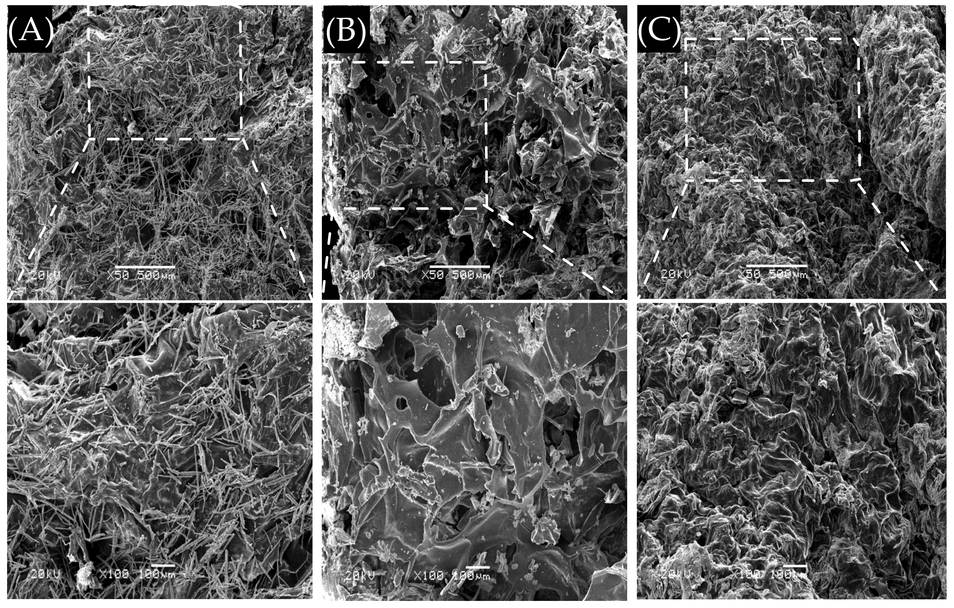 Polymers 14 01716 g003