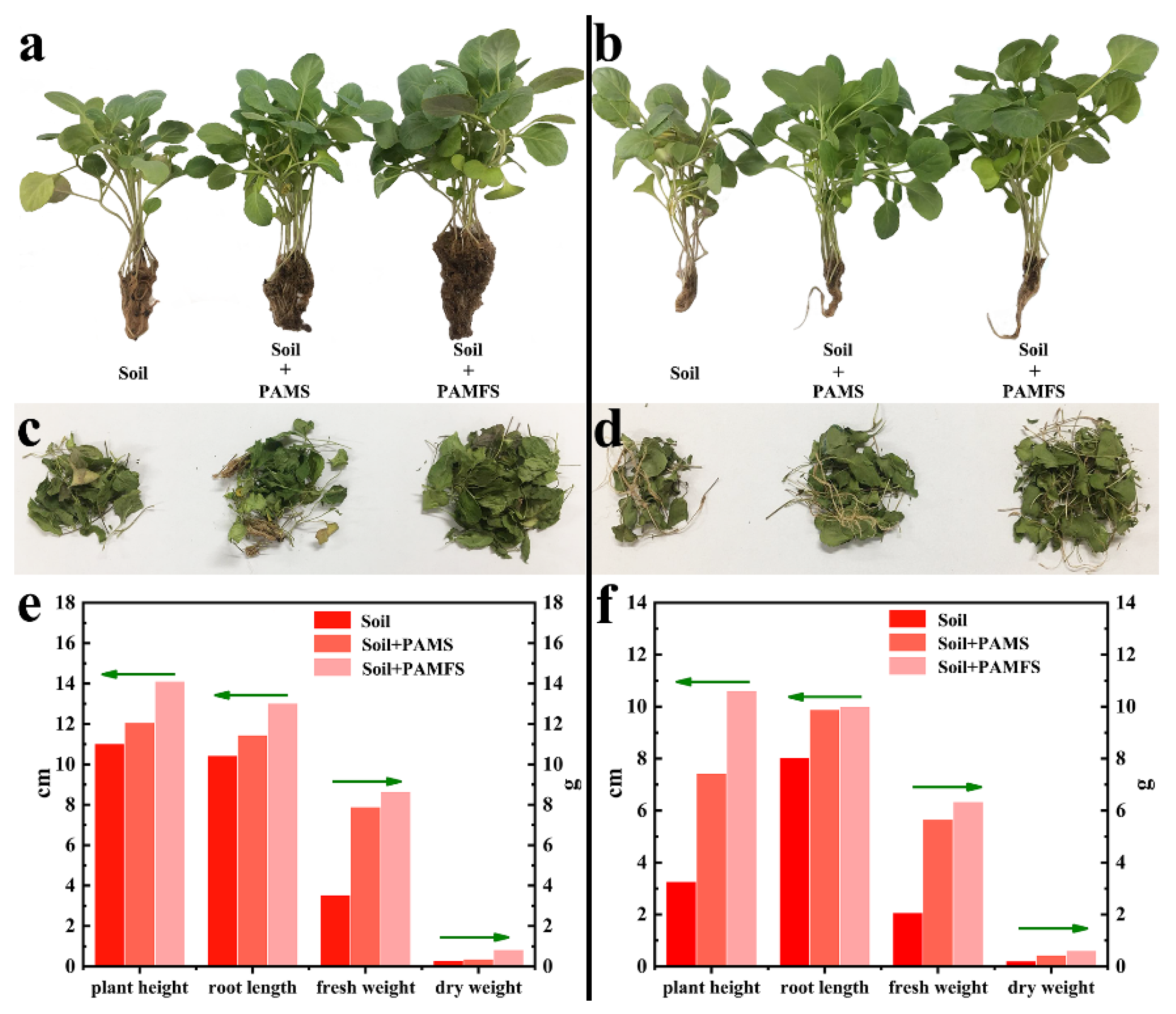 Polymers 14 01719 g008