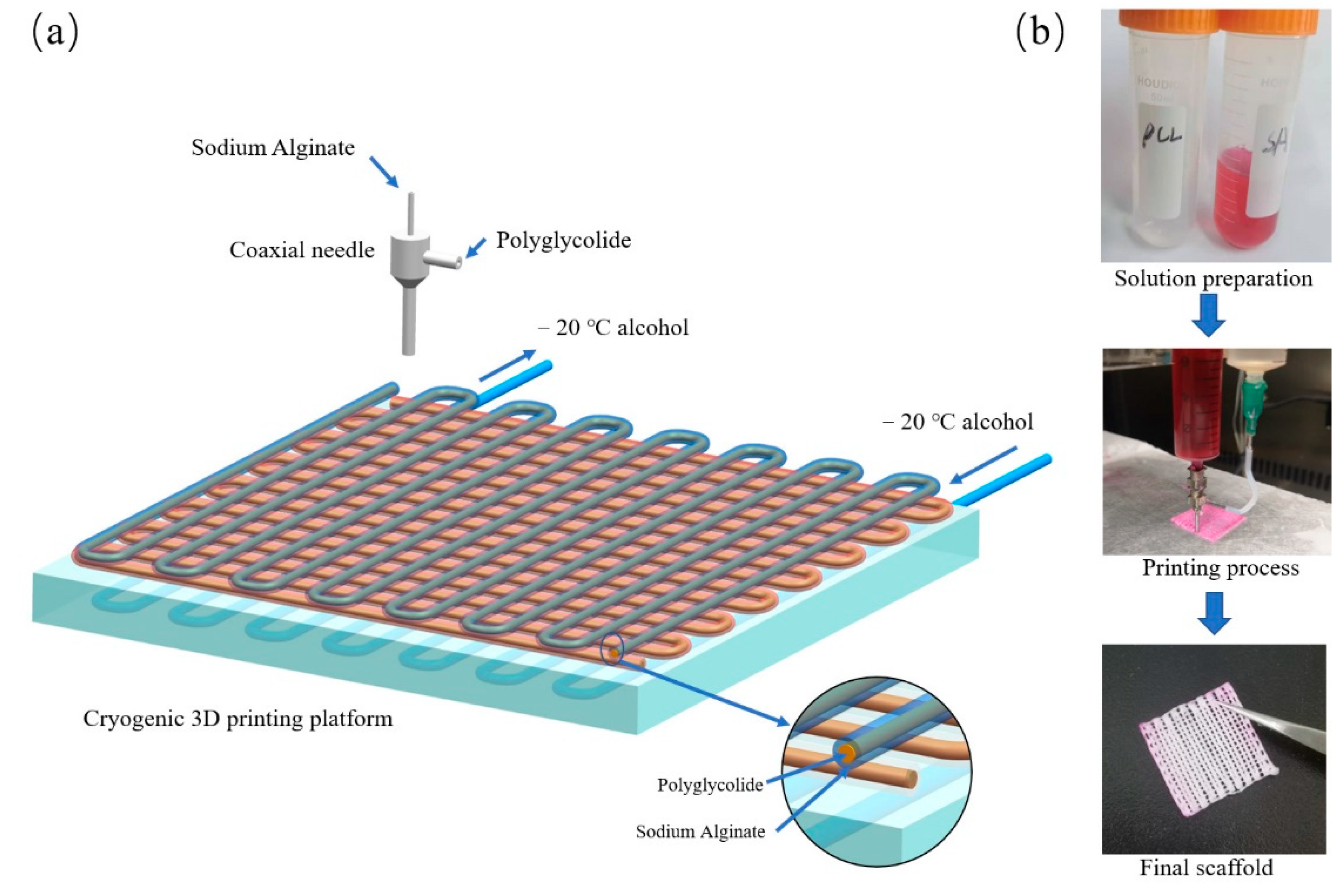 Polymers 14 01722 g001 550