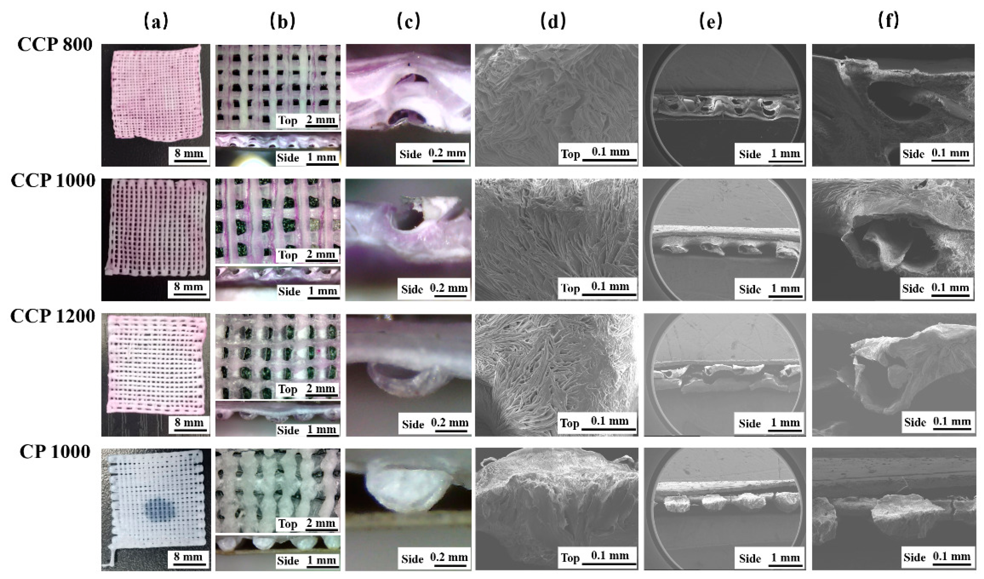 Polymers 14 01722 g004 550
