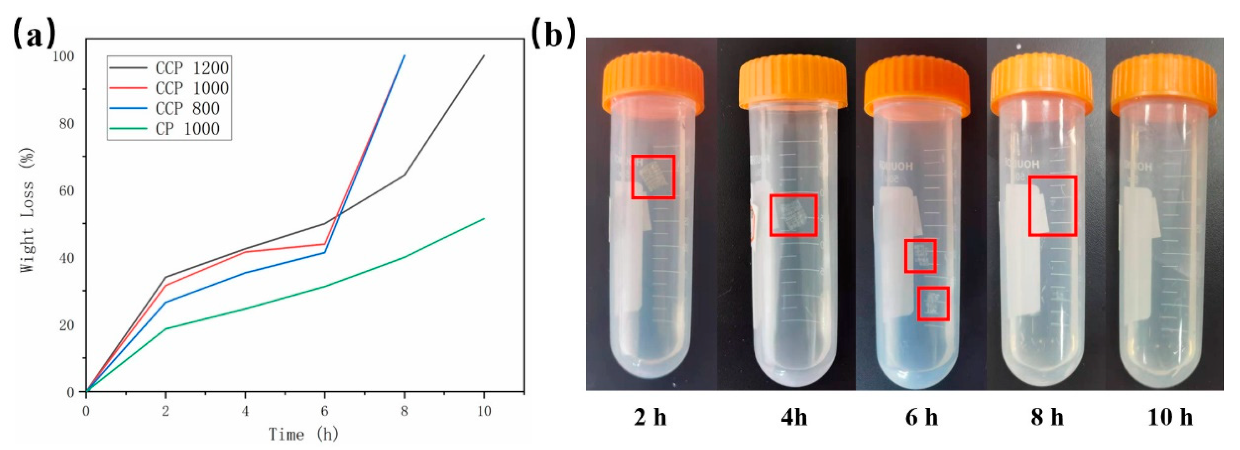 Polymers 14 01722 g006 550