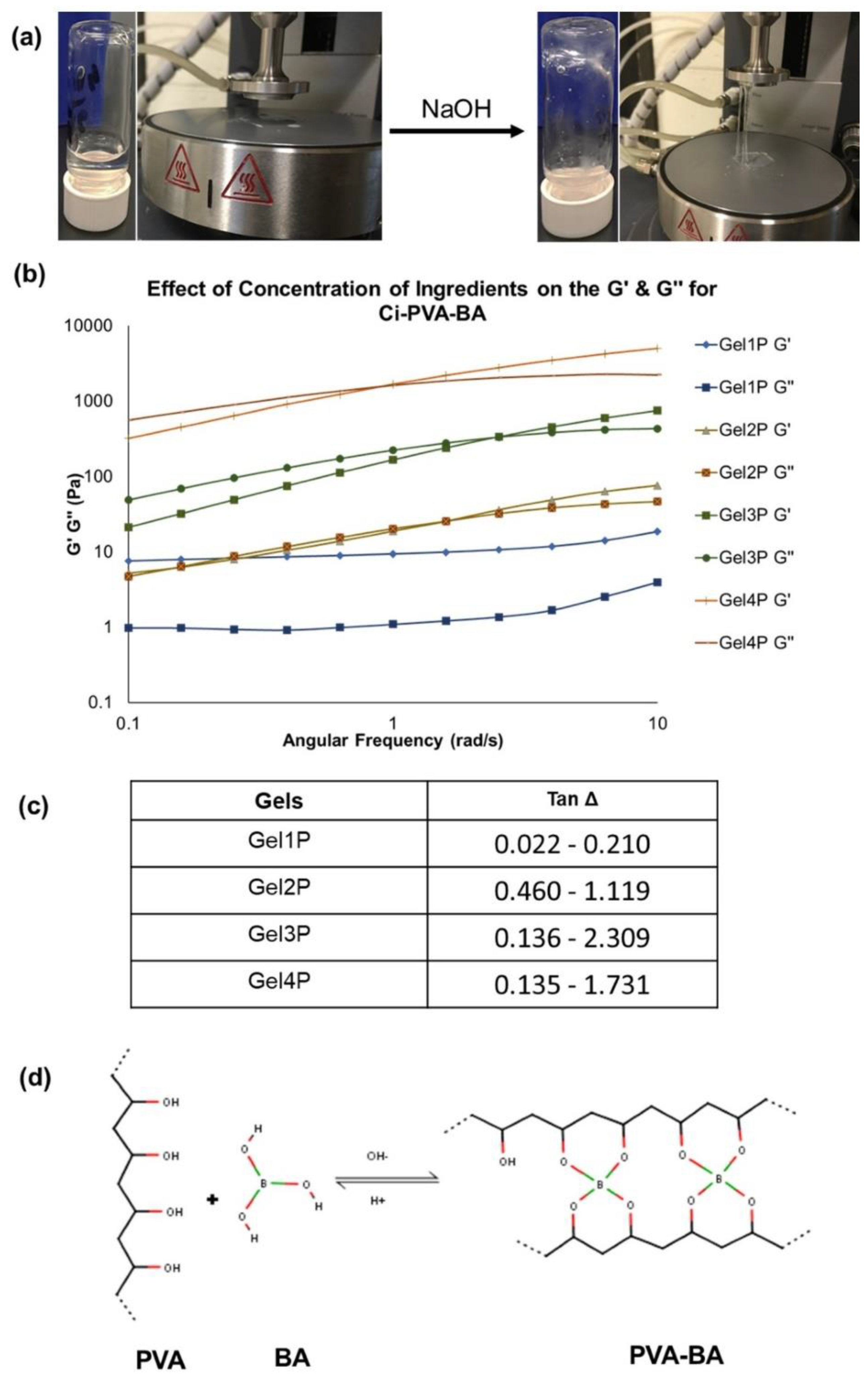 Polymers 14 01728 g006