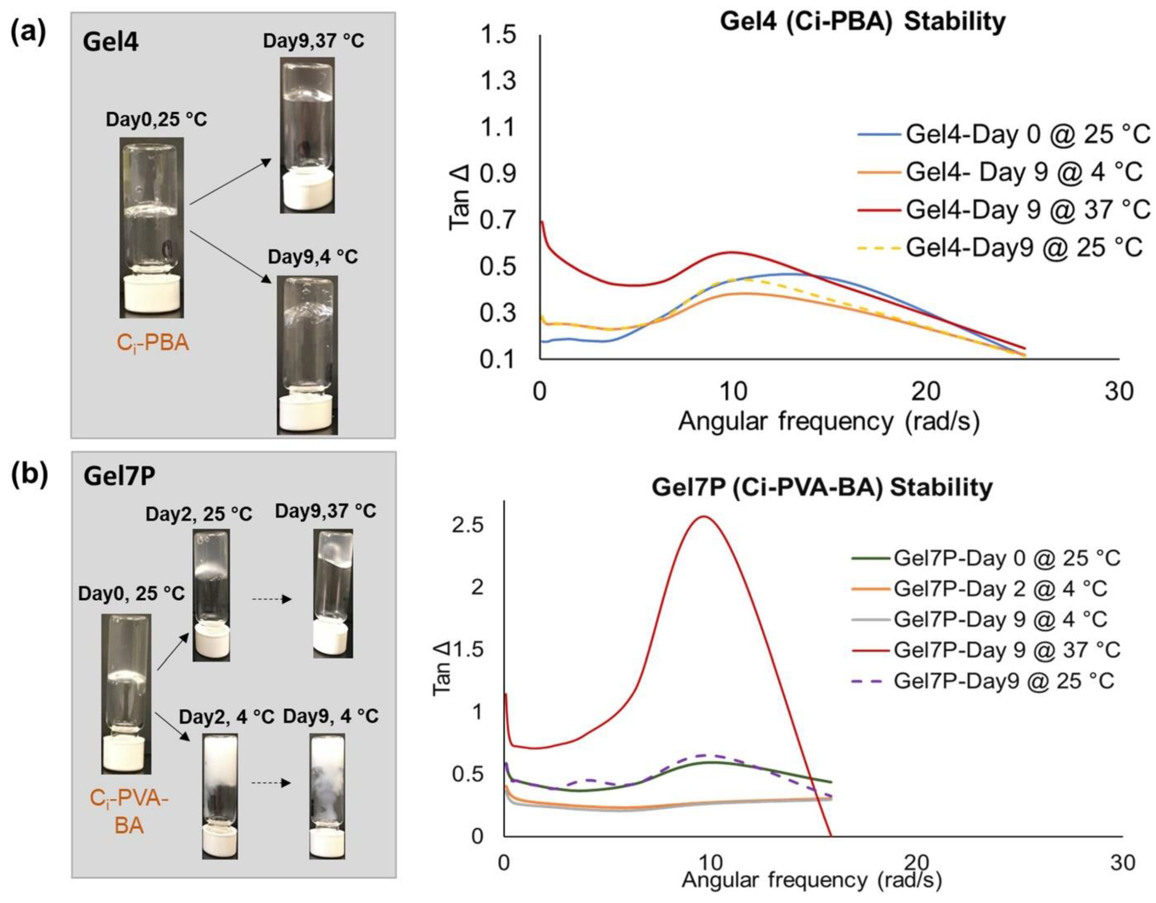 Polymers 14 01728 g009