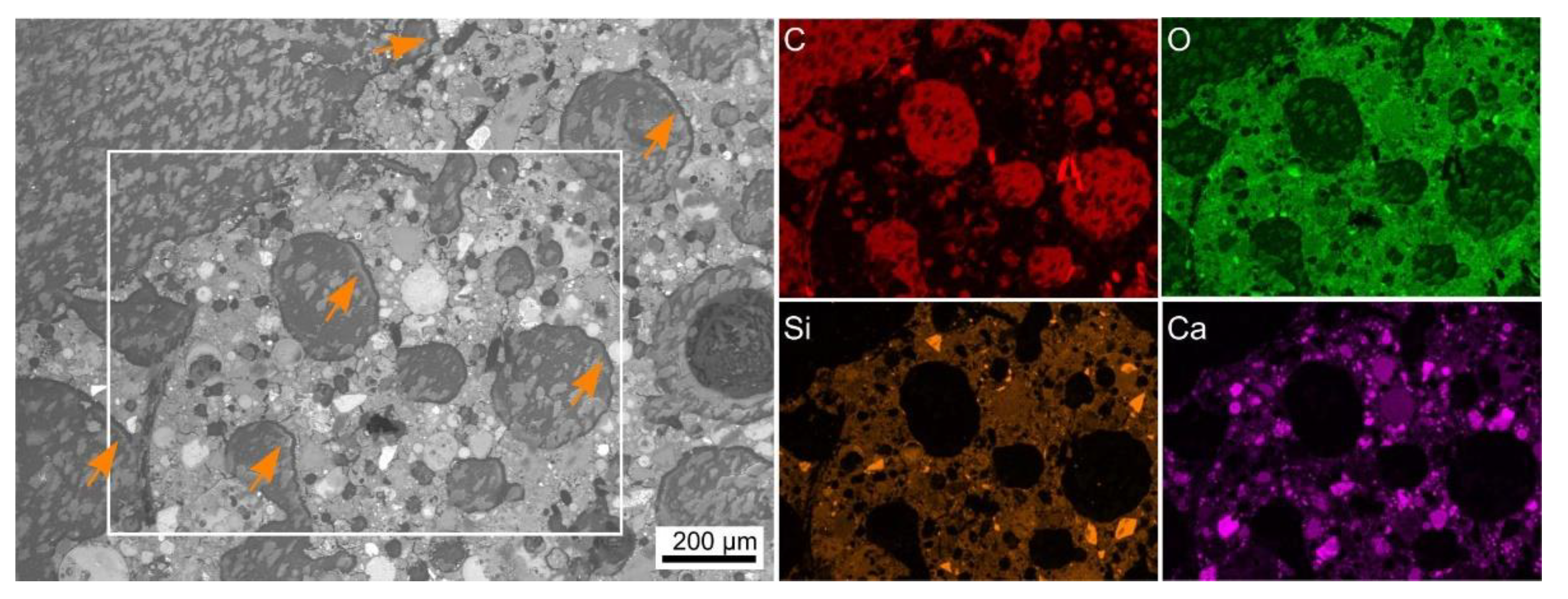 Polymers 14 01729 g004 550