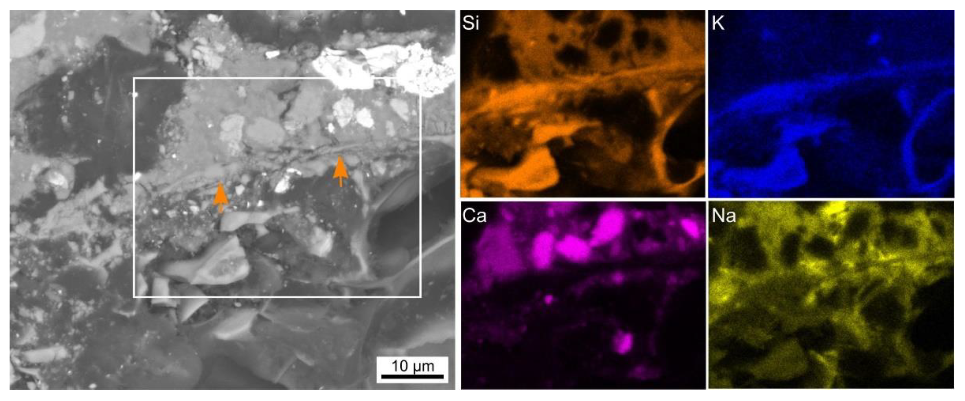 Polymers 14 01729 g006 550