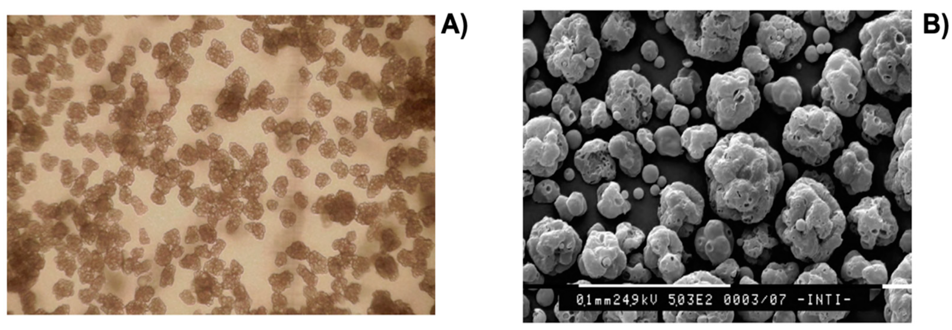 Polymers 14 01730 g027