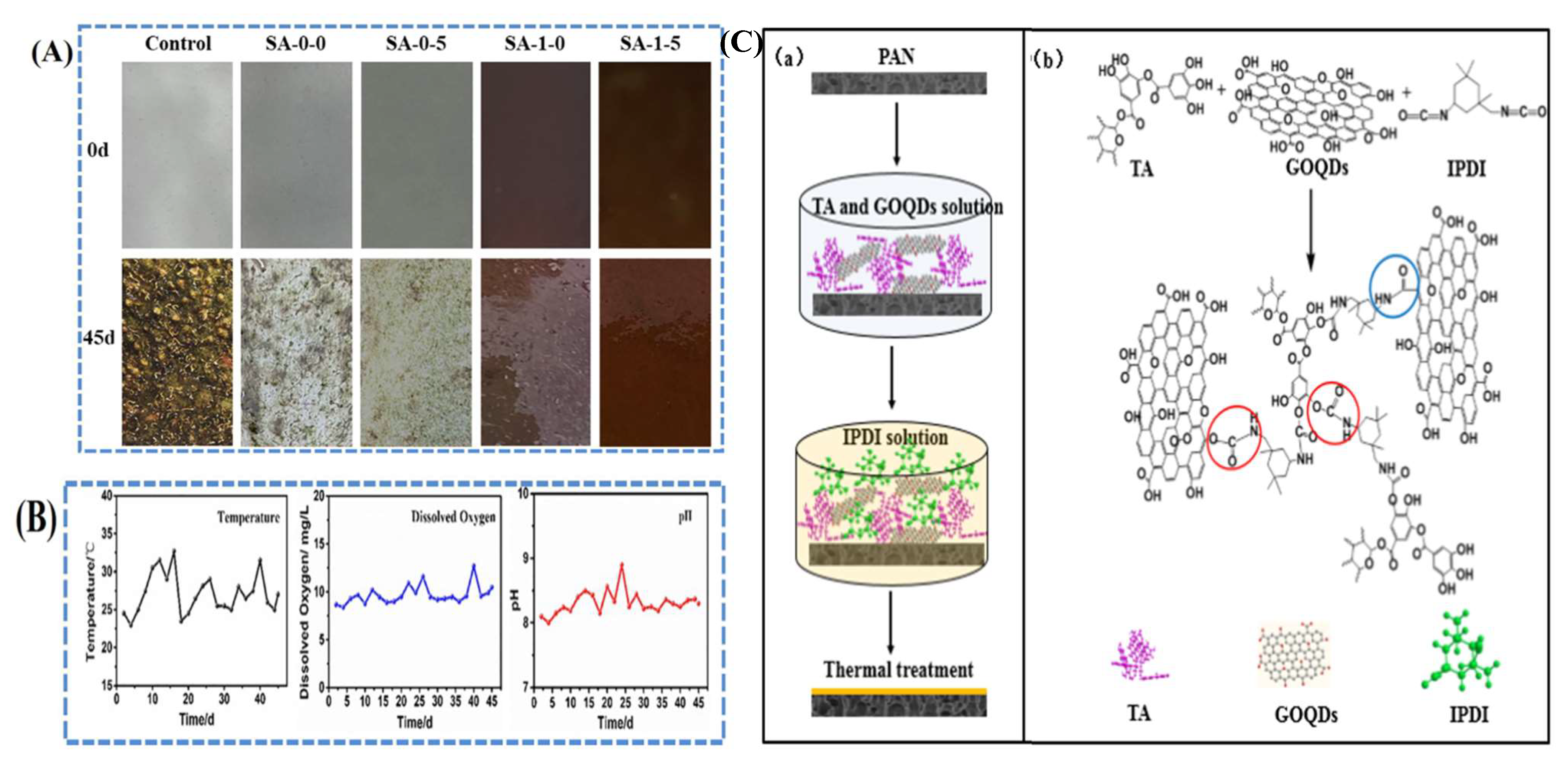 Polymers 14 01732 g011 550