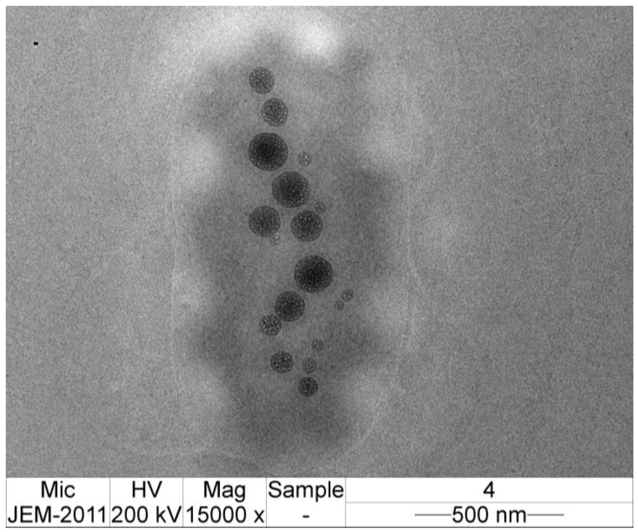 Polymers 14 01736 g005